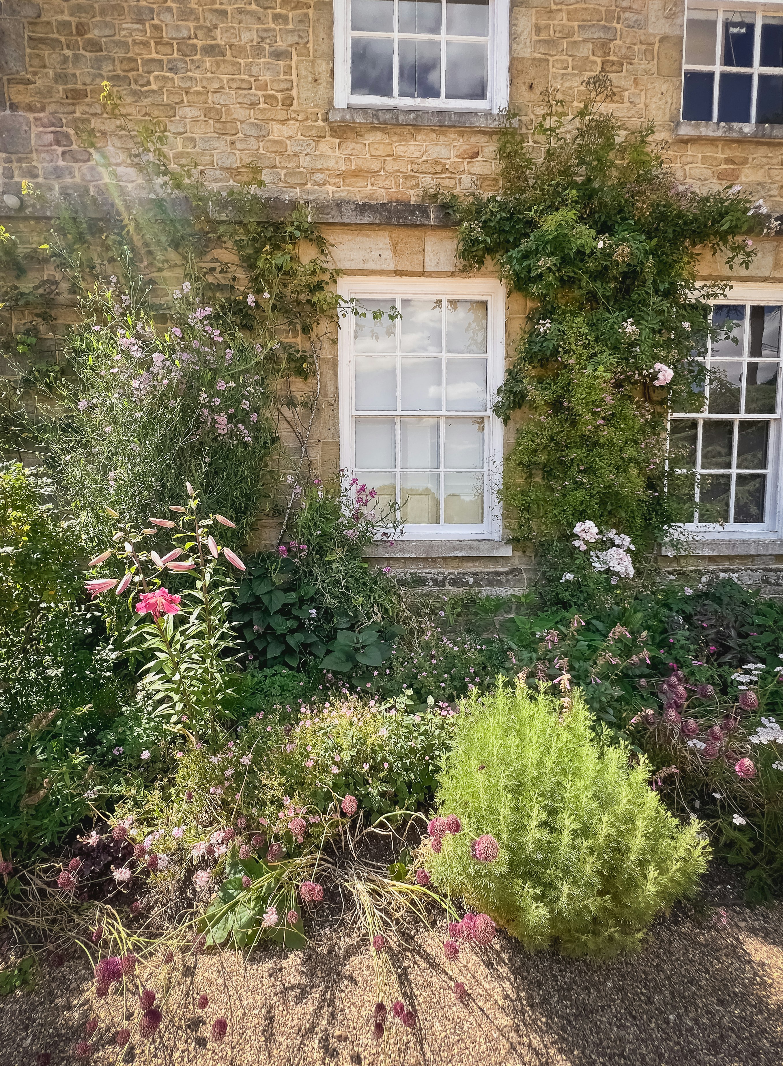 Photo by tanyabarrow