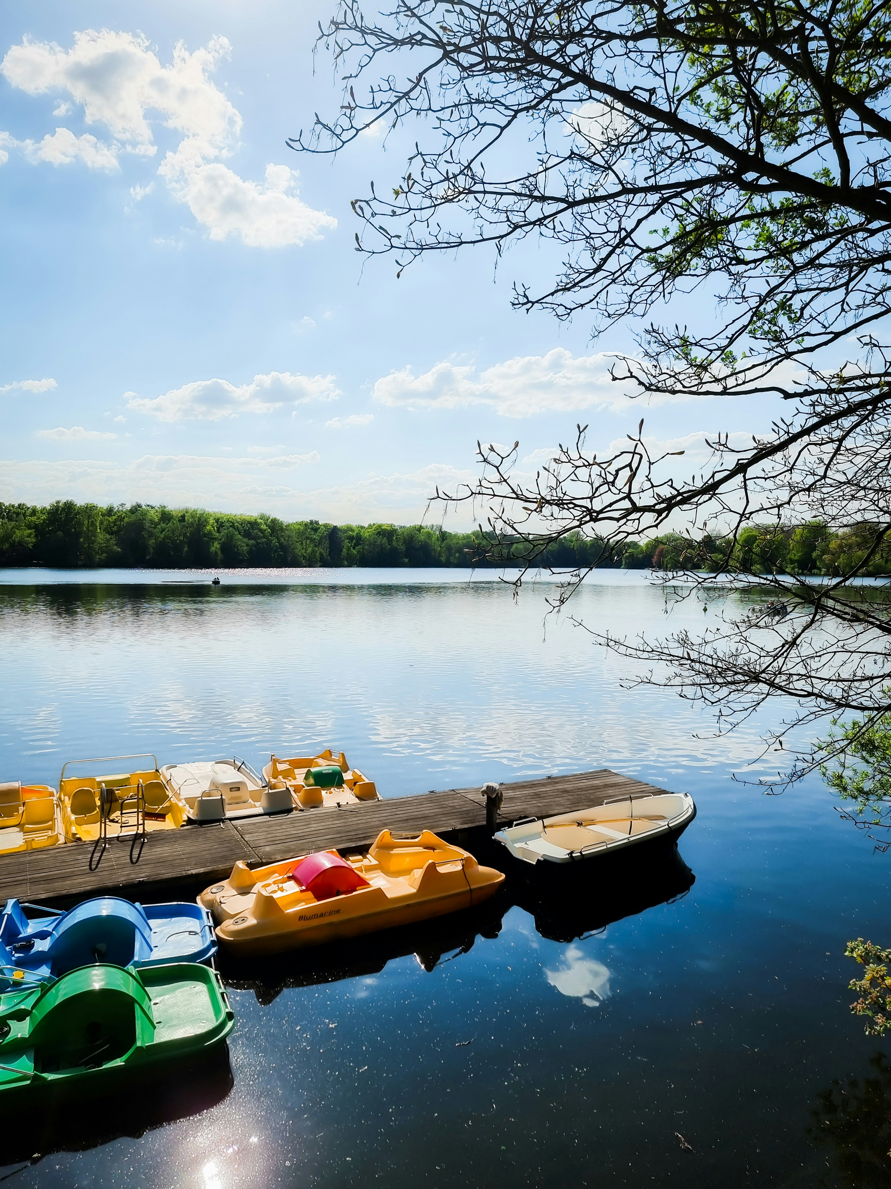 Boats rest on a dock by a calm lake.