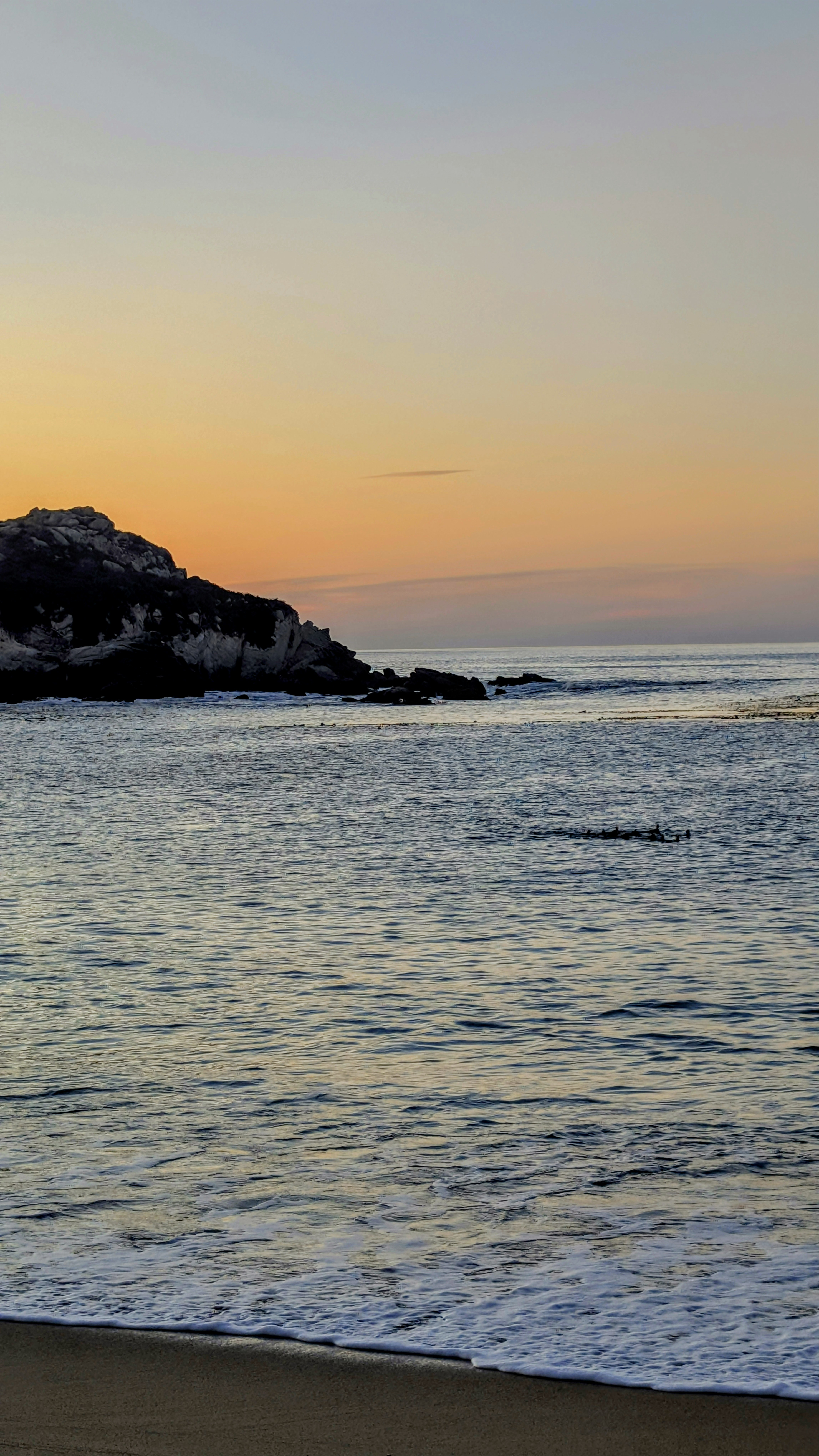 Photo by indrajitsinha