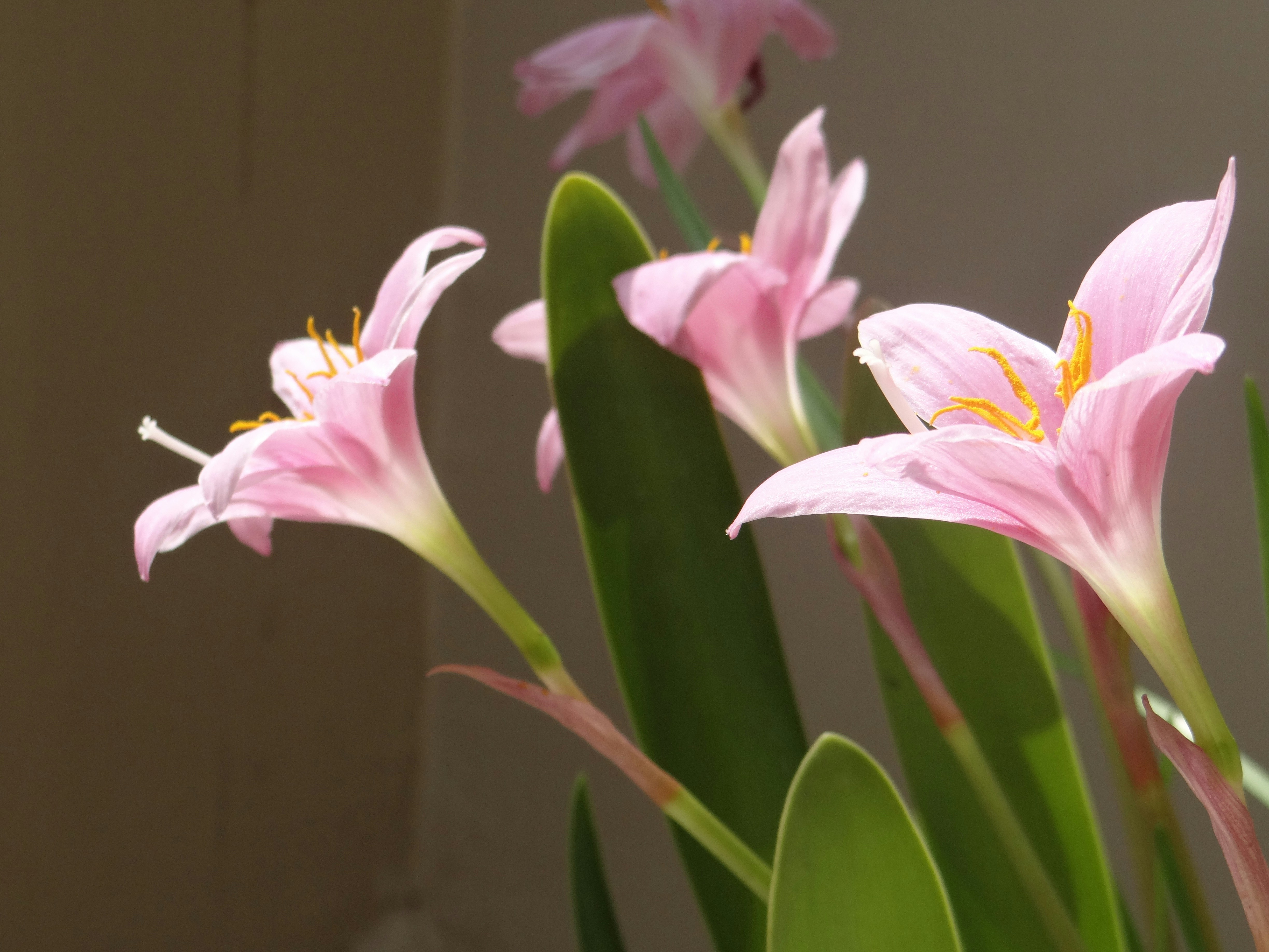 Photo by copperdan_2010