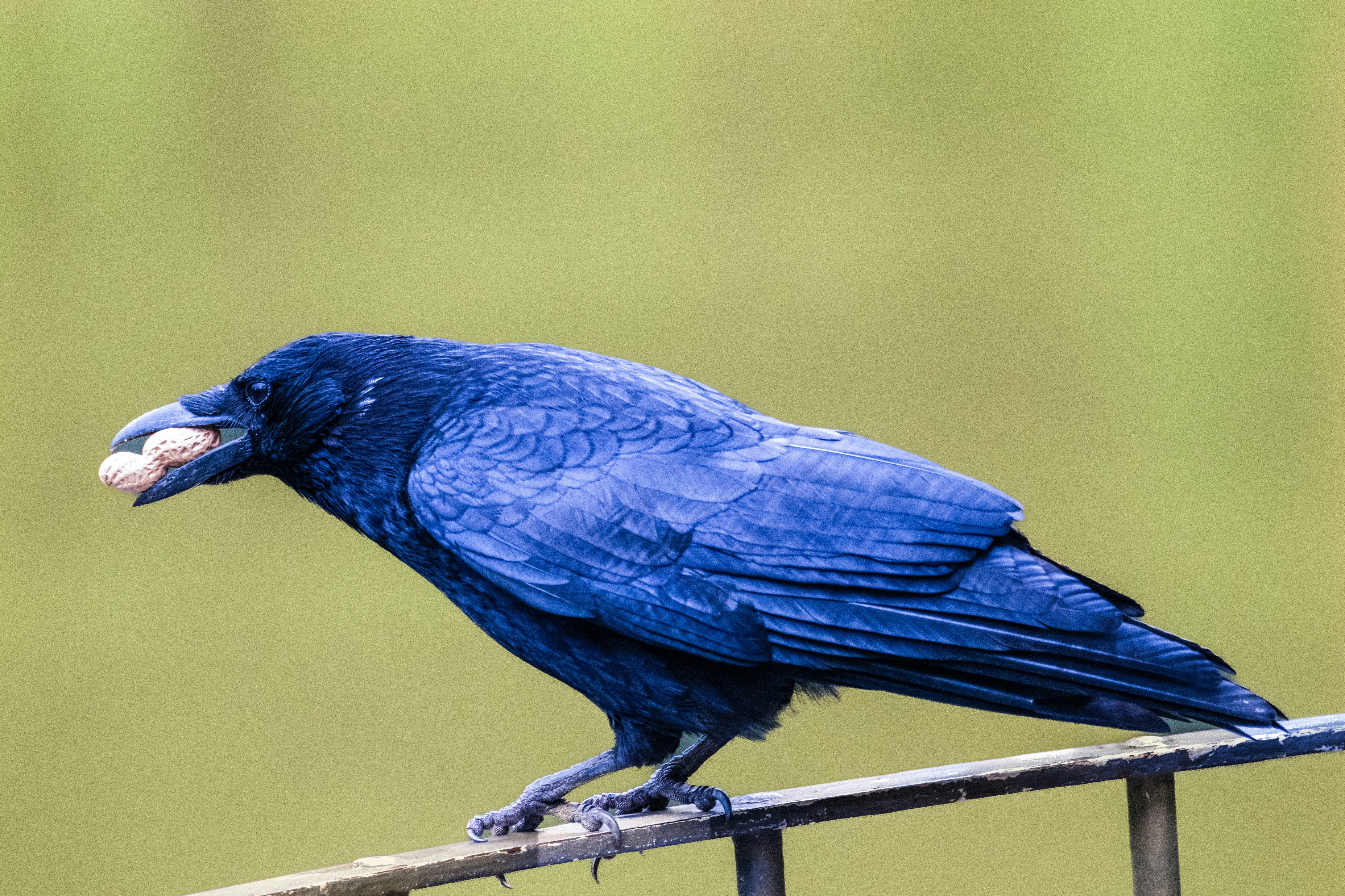 Photo by siegfriedpoepperl