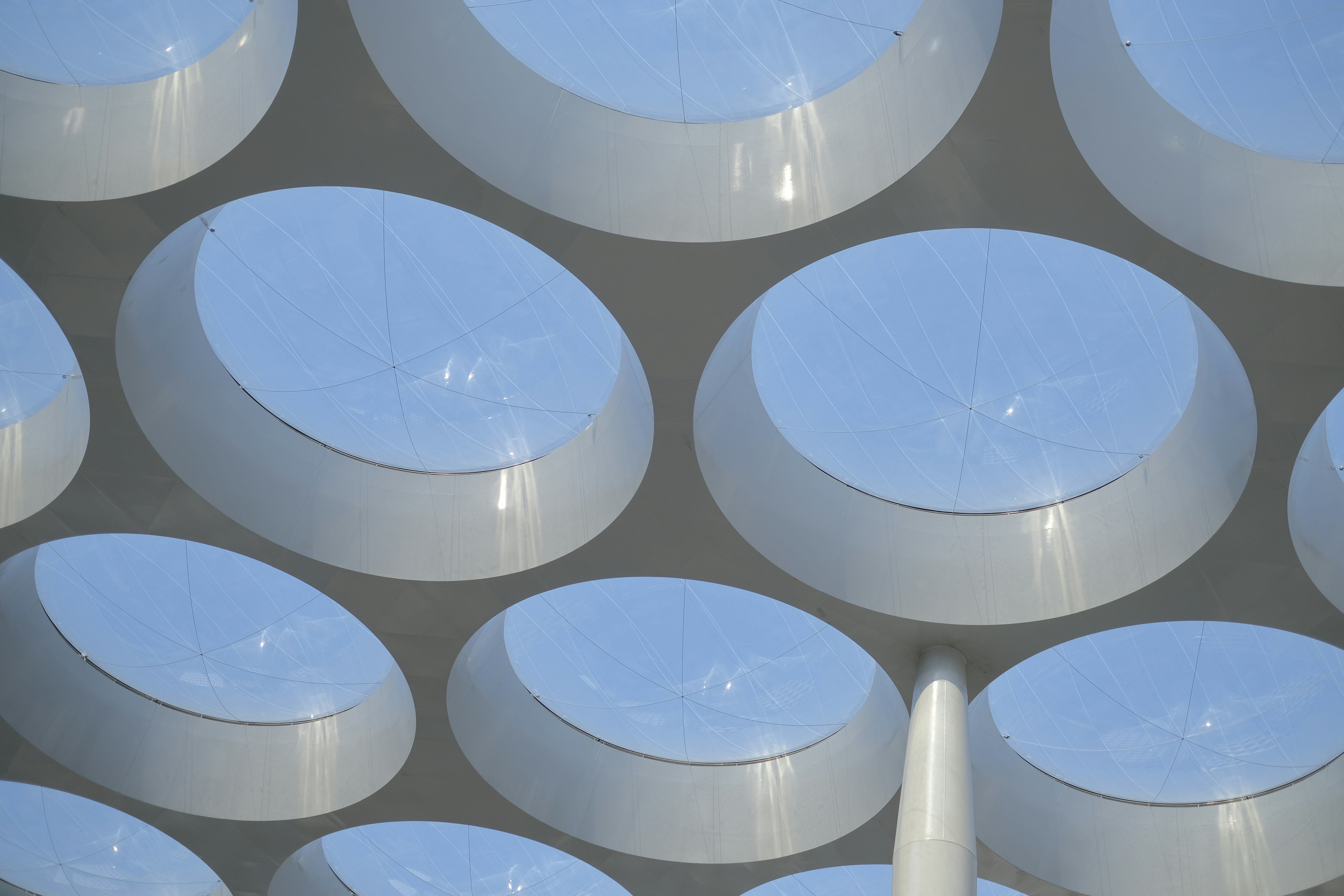 Elliptical skylights cover a modern building.