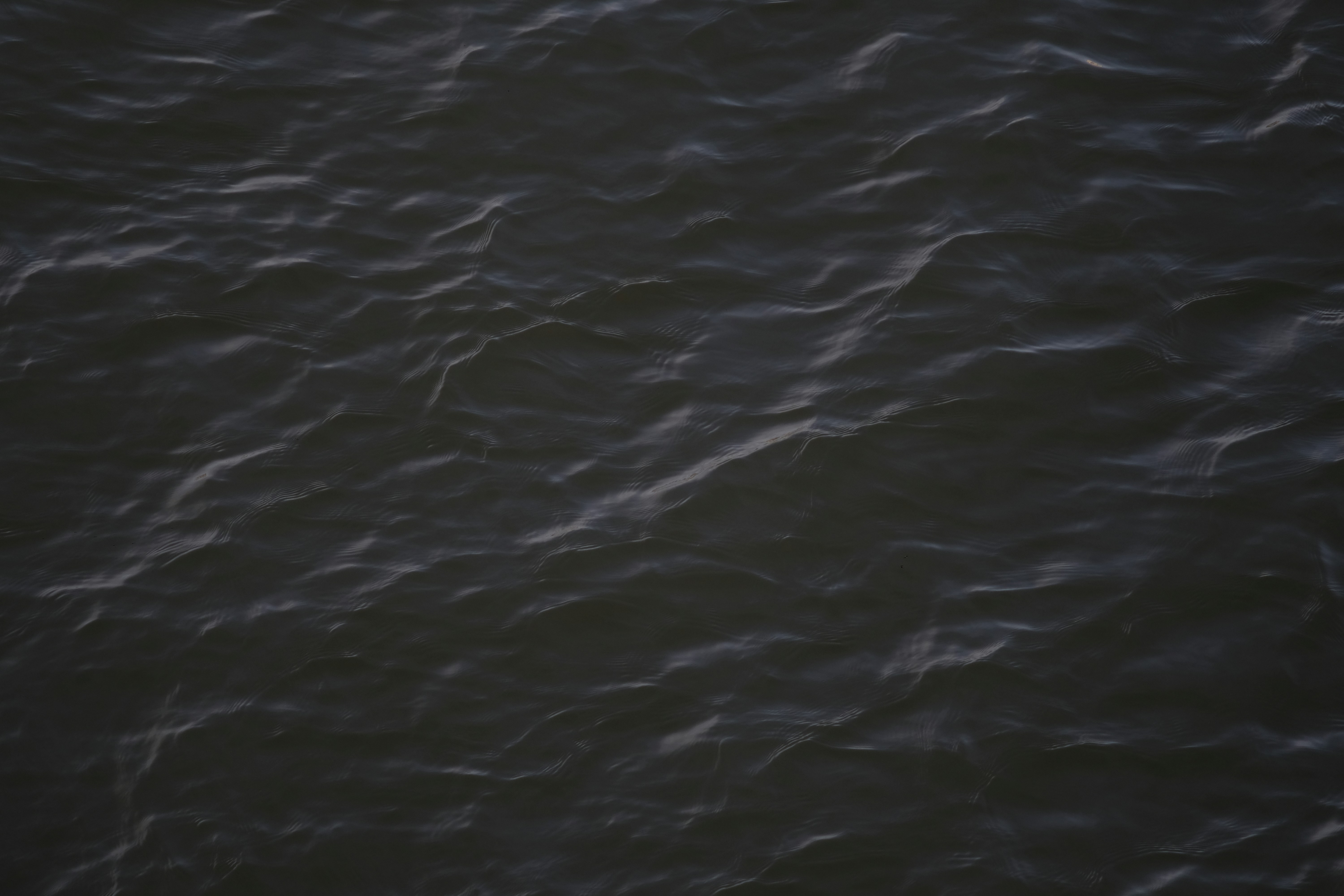 Dark water surface with small waves.