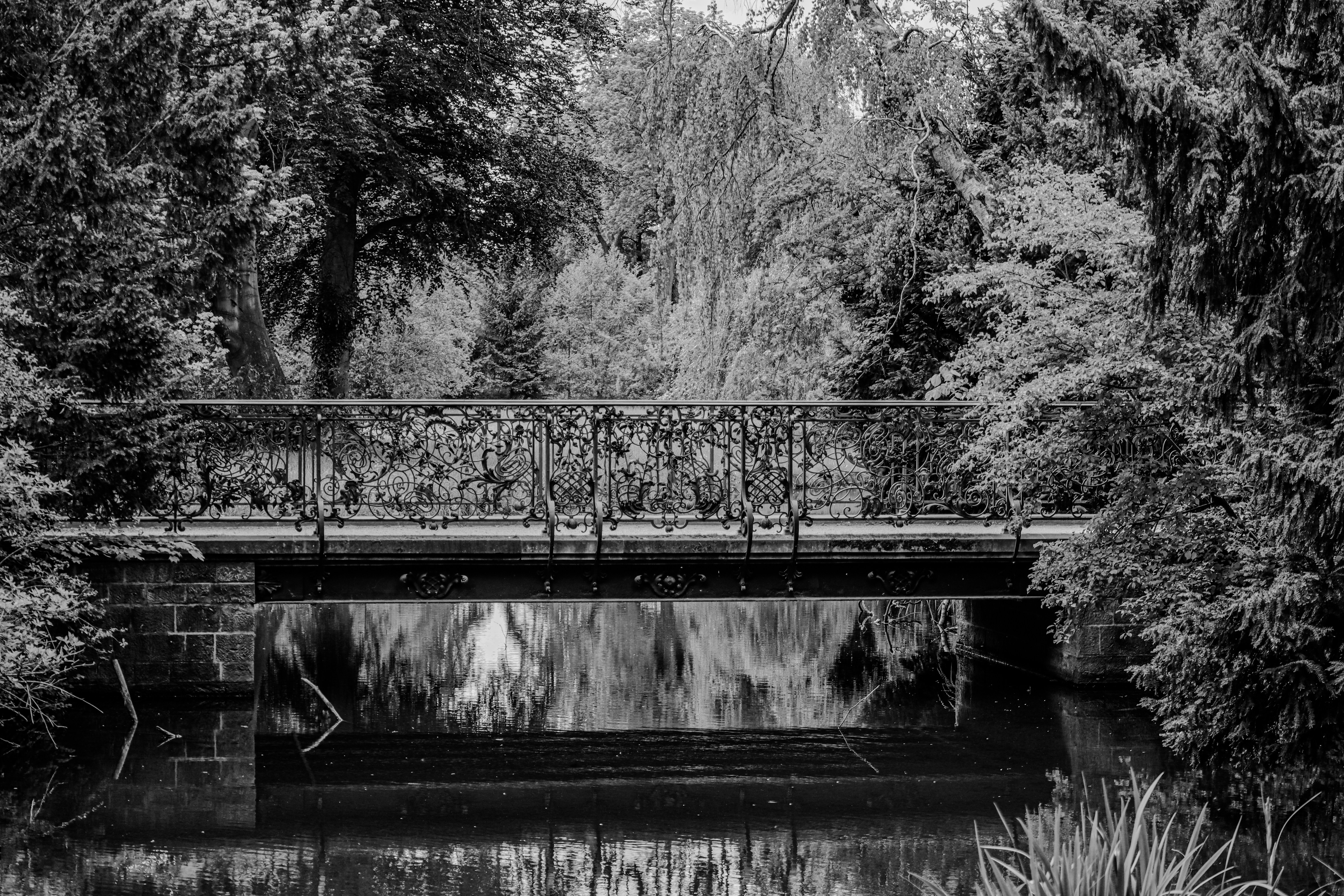 Photo by wendell_adriel