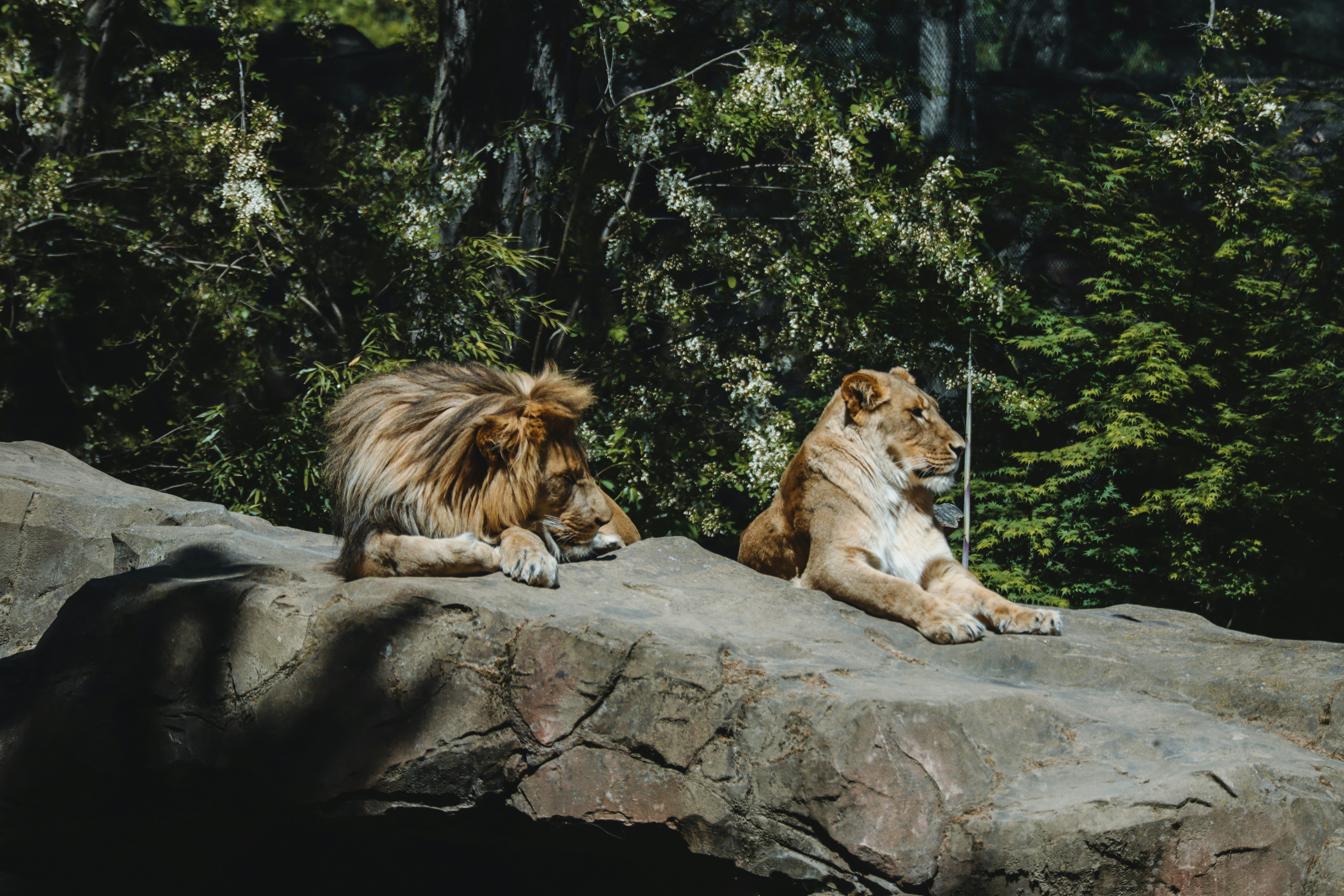 Photo by wendell_adriel