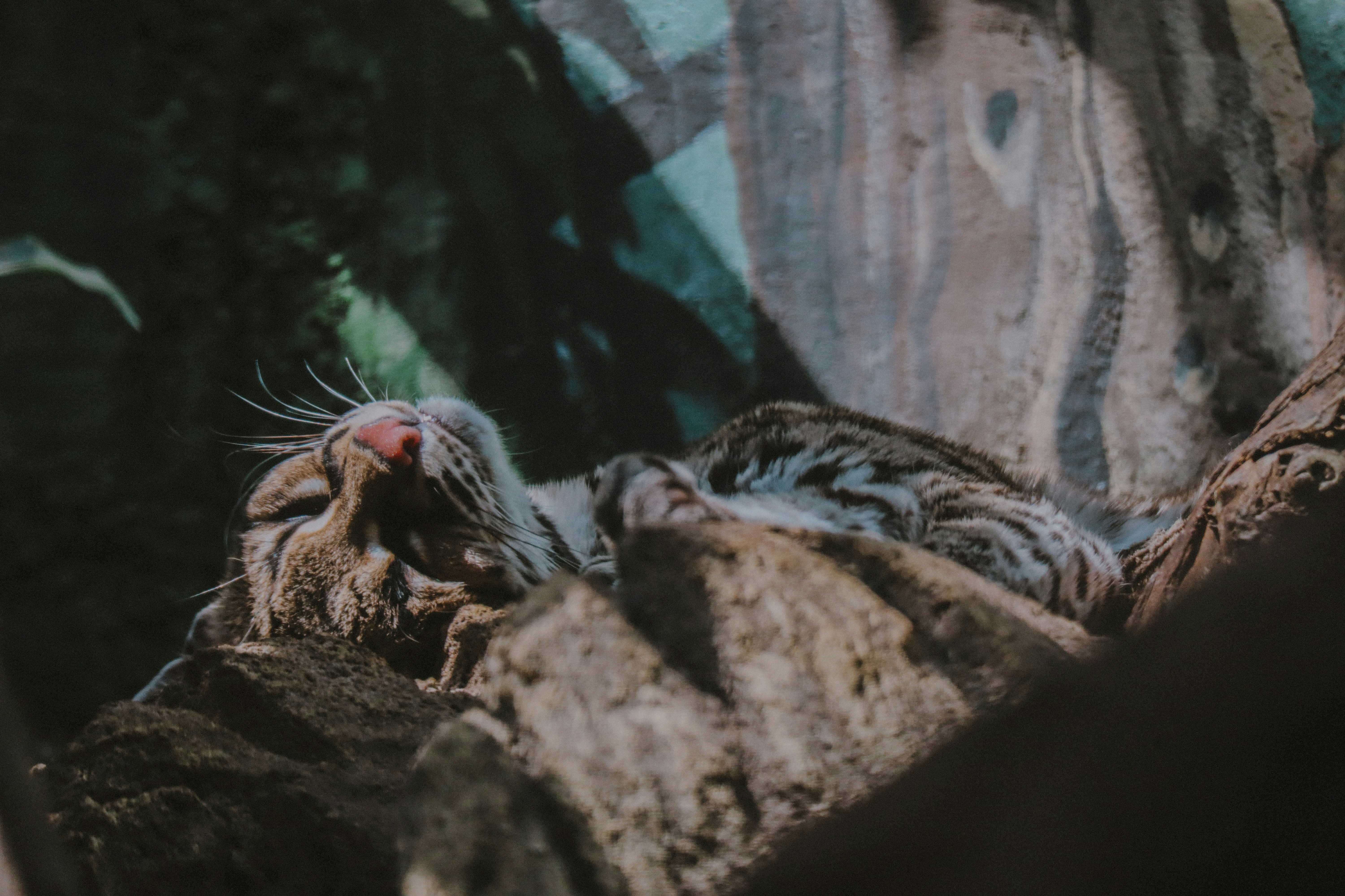 Photo by wendell_adriel