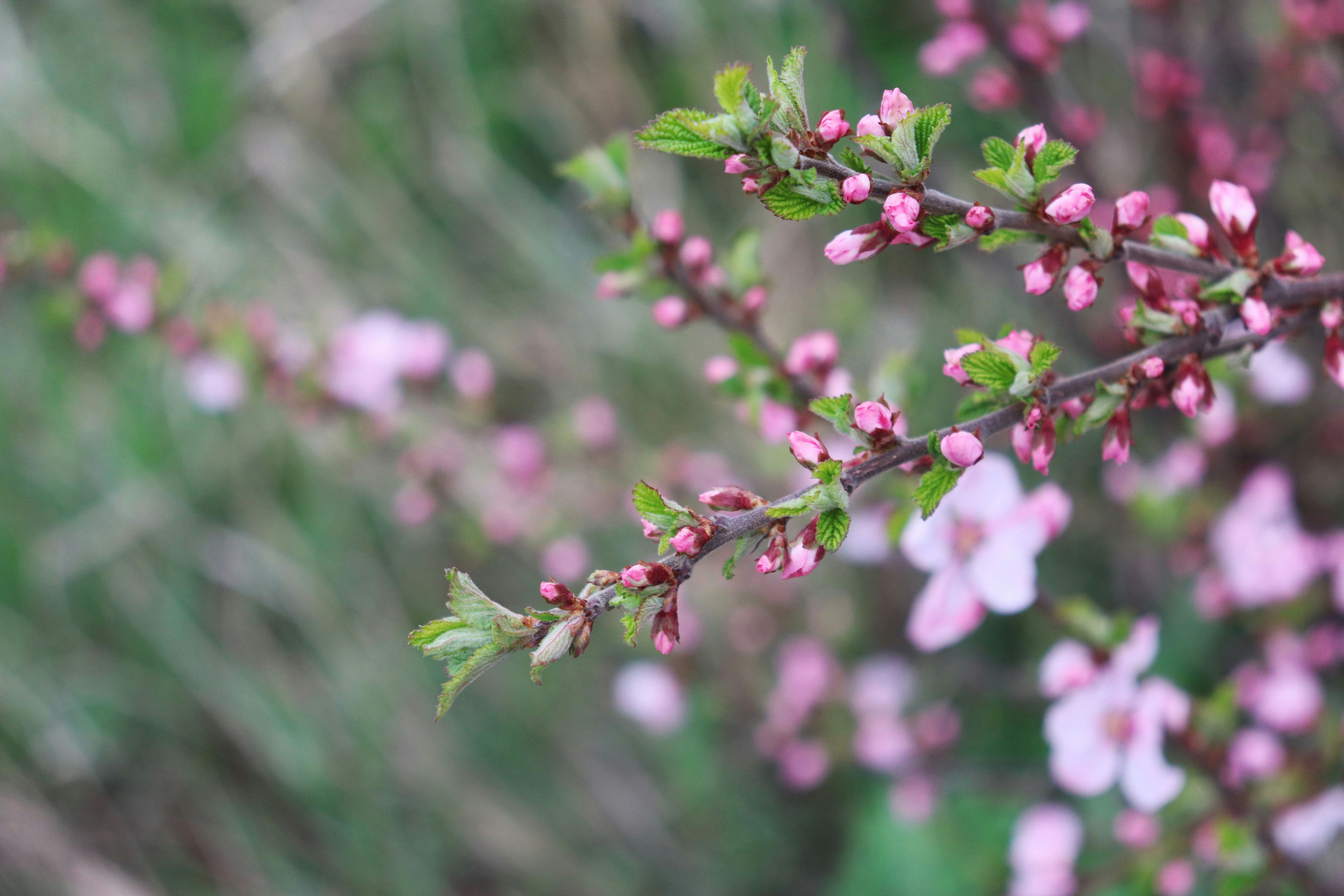 Photo by stasiaspark