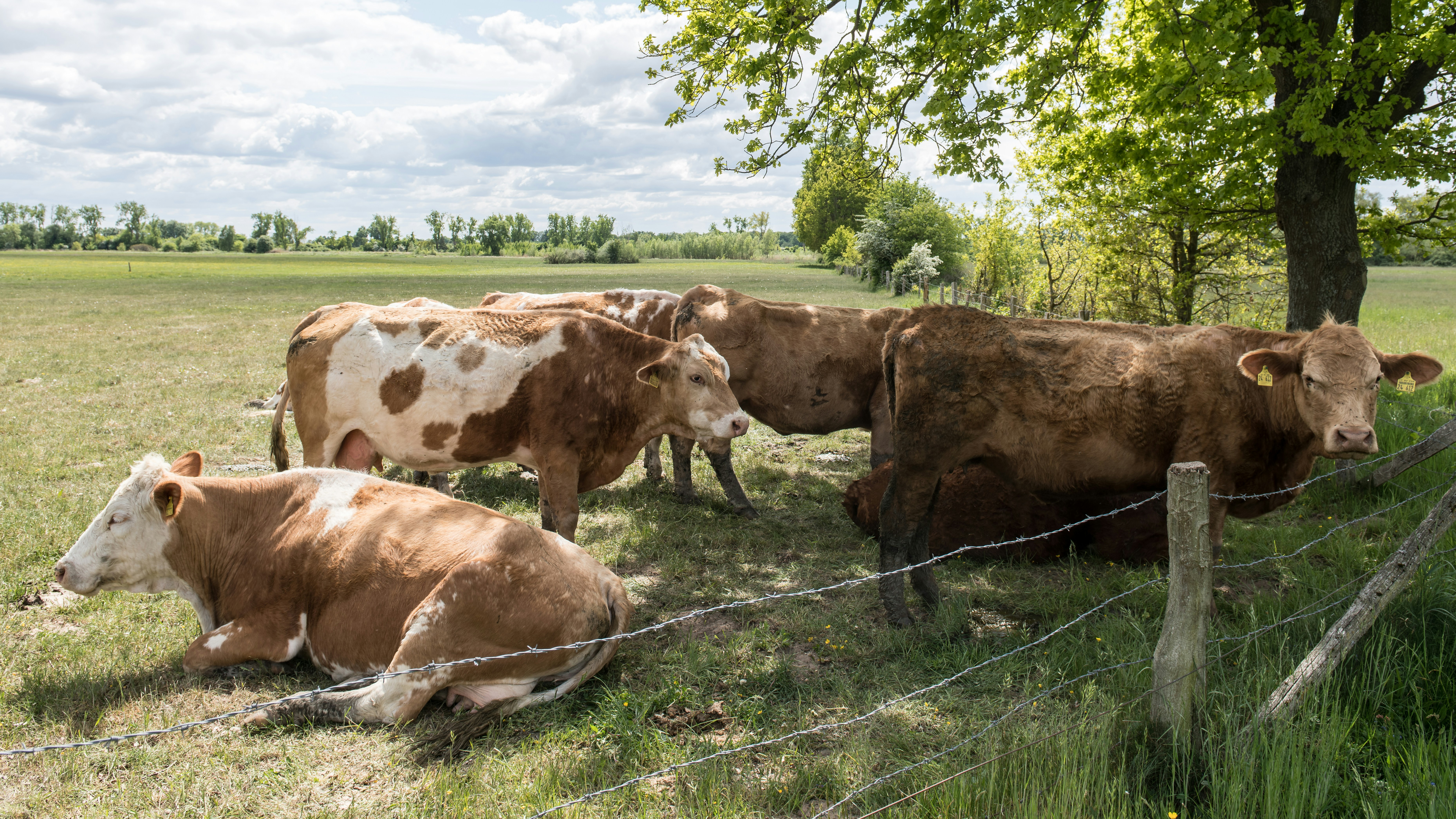 Photo by hamburgmeinefreundin