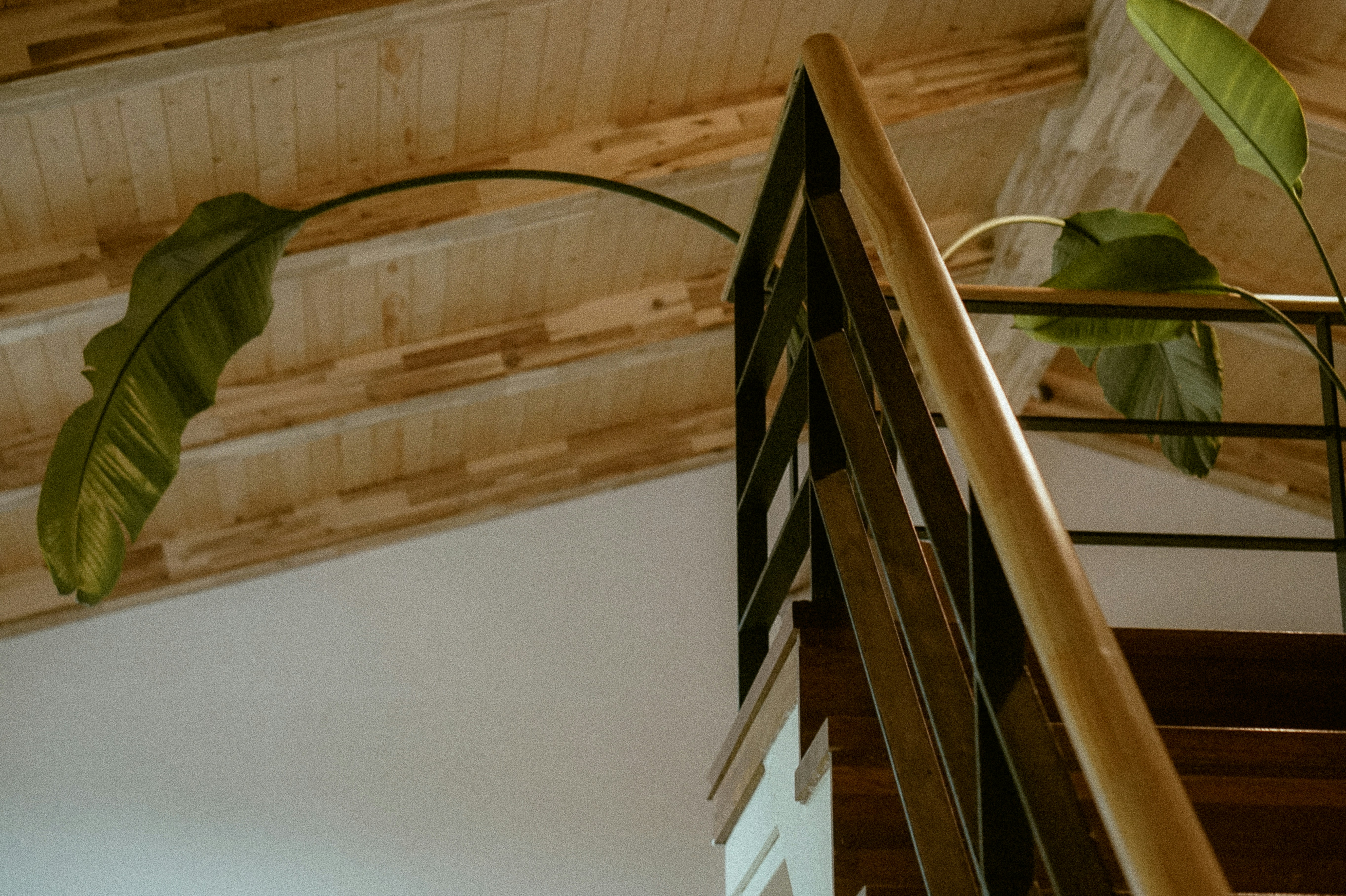 Photo by thingsneverchange