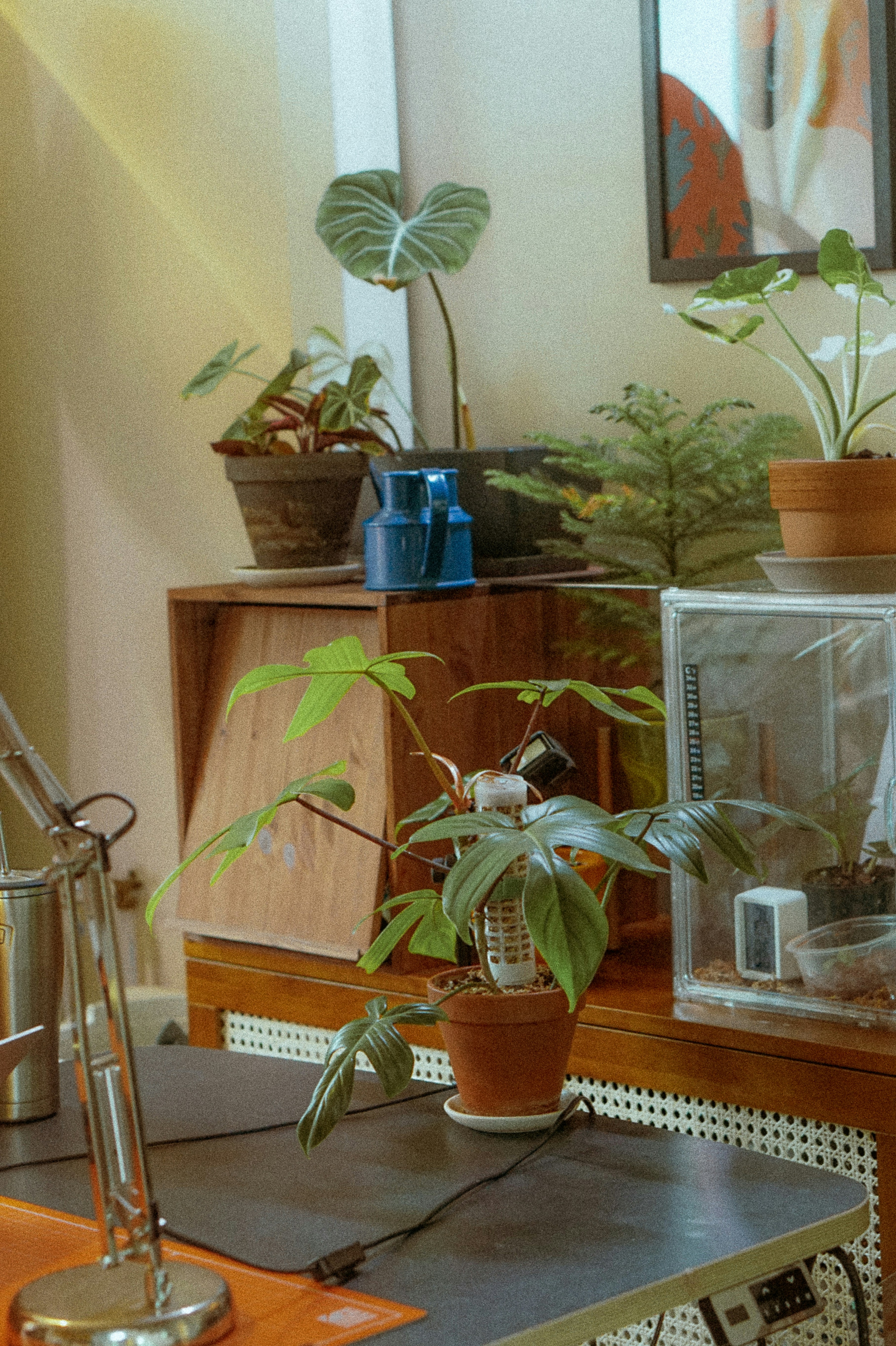 Photo by thingsneverchange