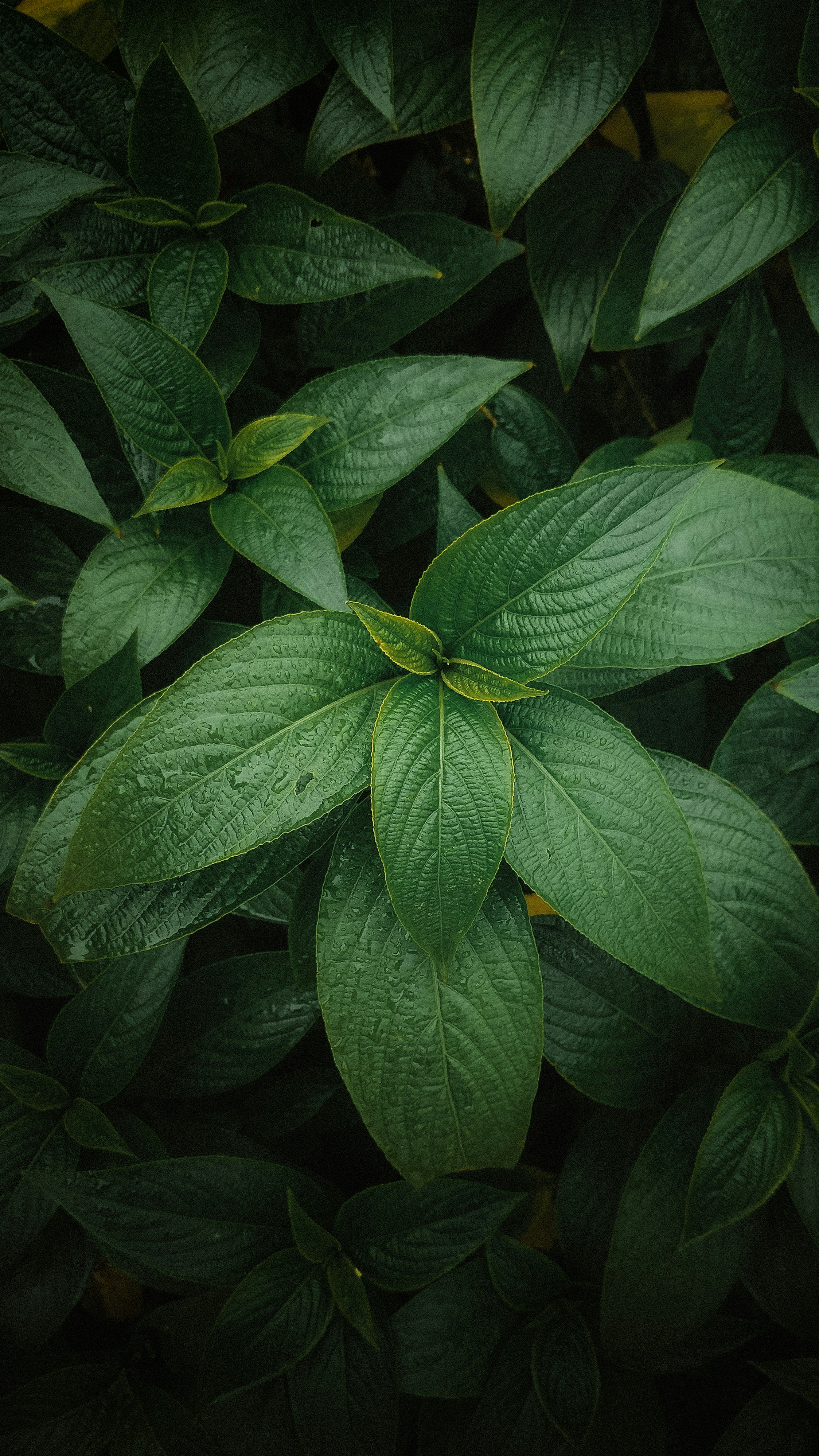 Photo by pixelbyzaki