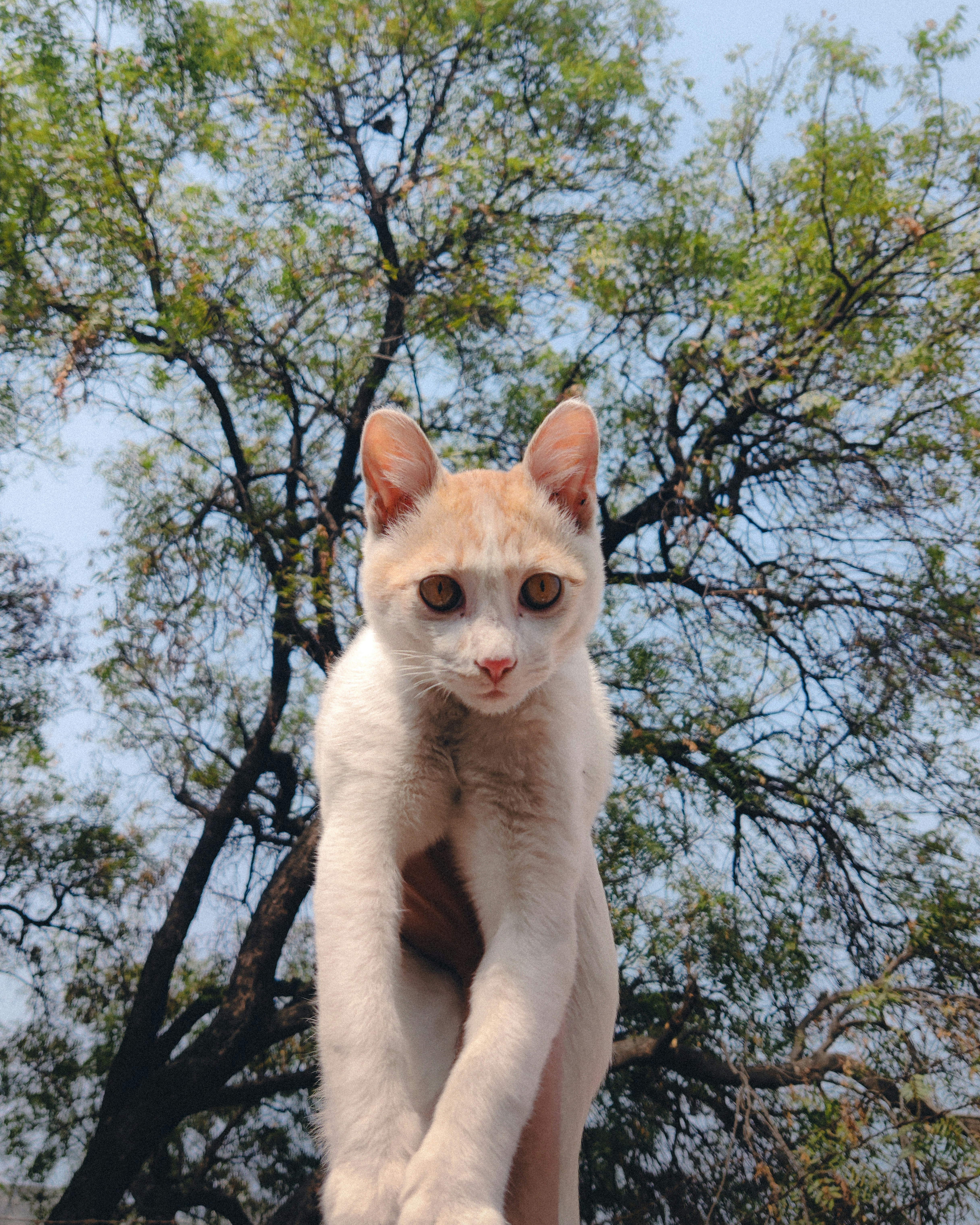 Garbage Disposals and Sink Grinders (image credits: unsplash)