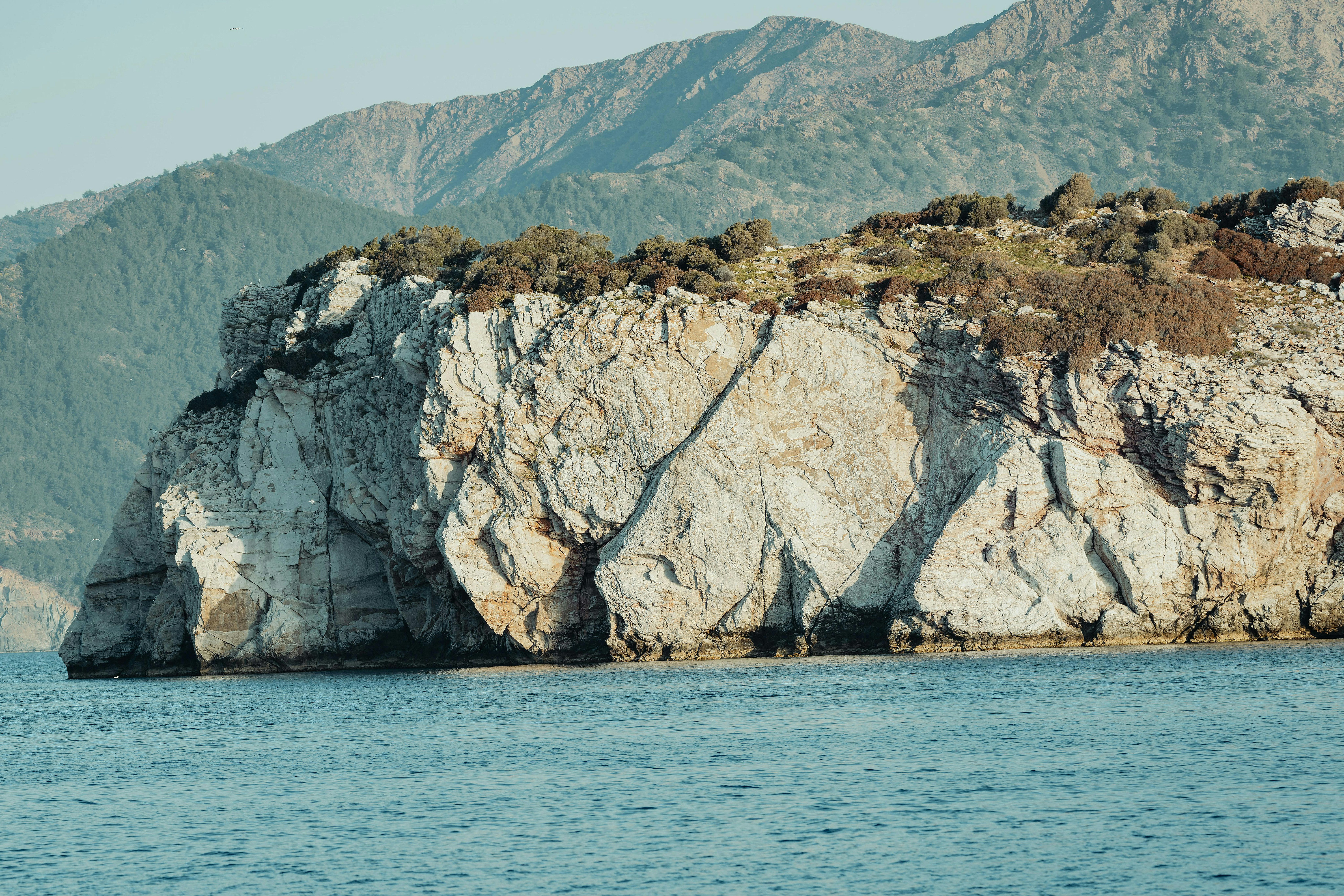 Photo by americanaez225