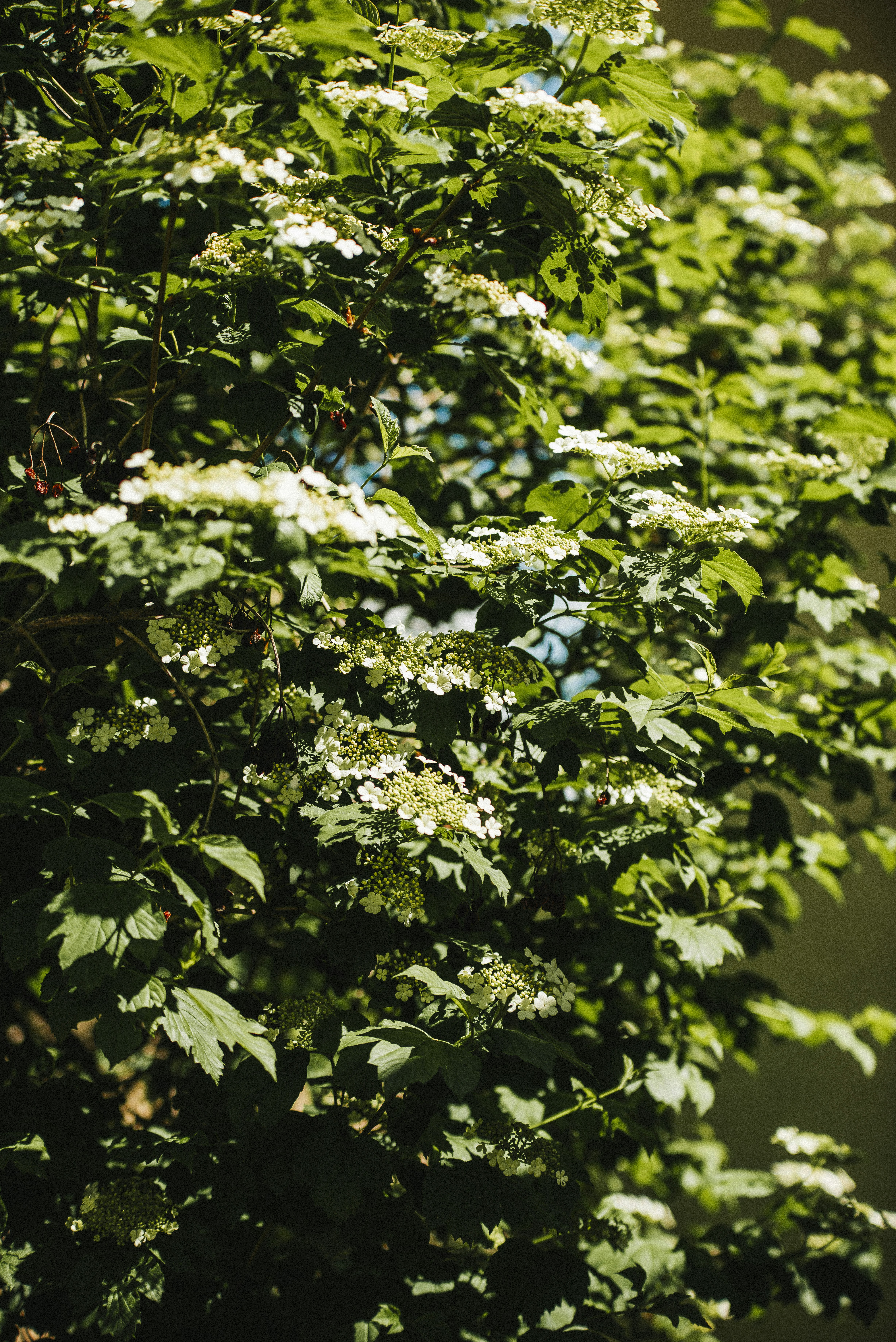 Photo by iamfrancismorgan