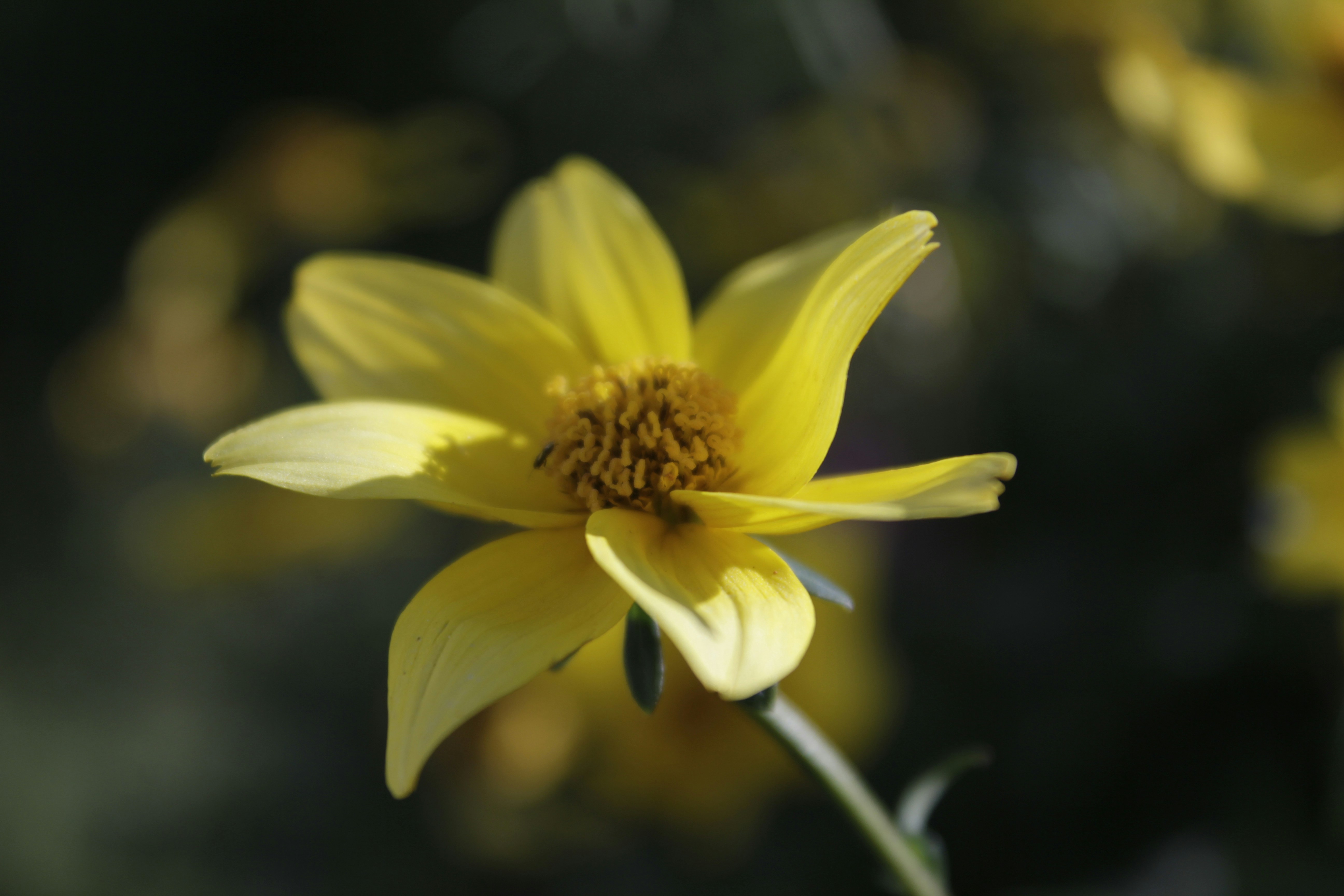 Photo by nathaniel2010