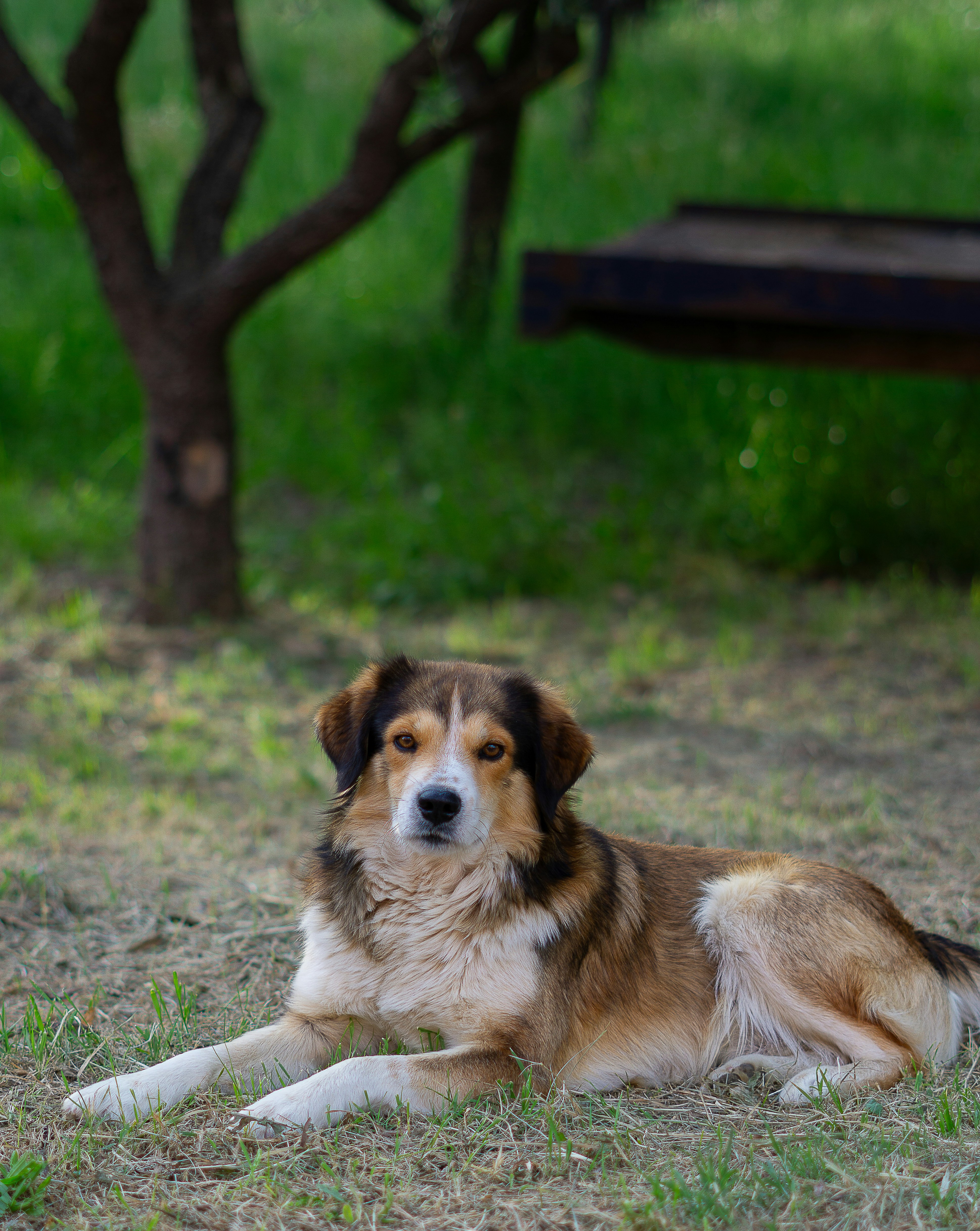 Photo by hardialsingh