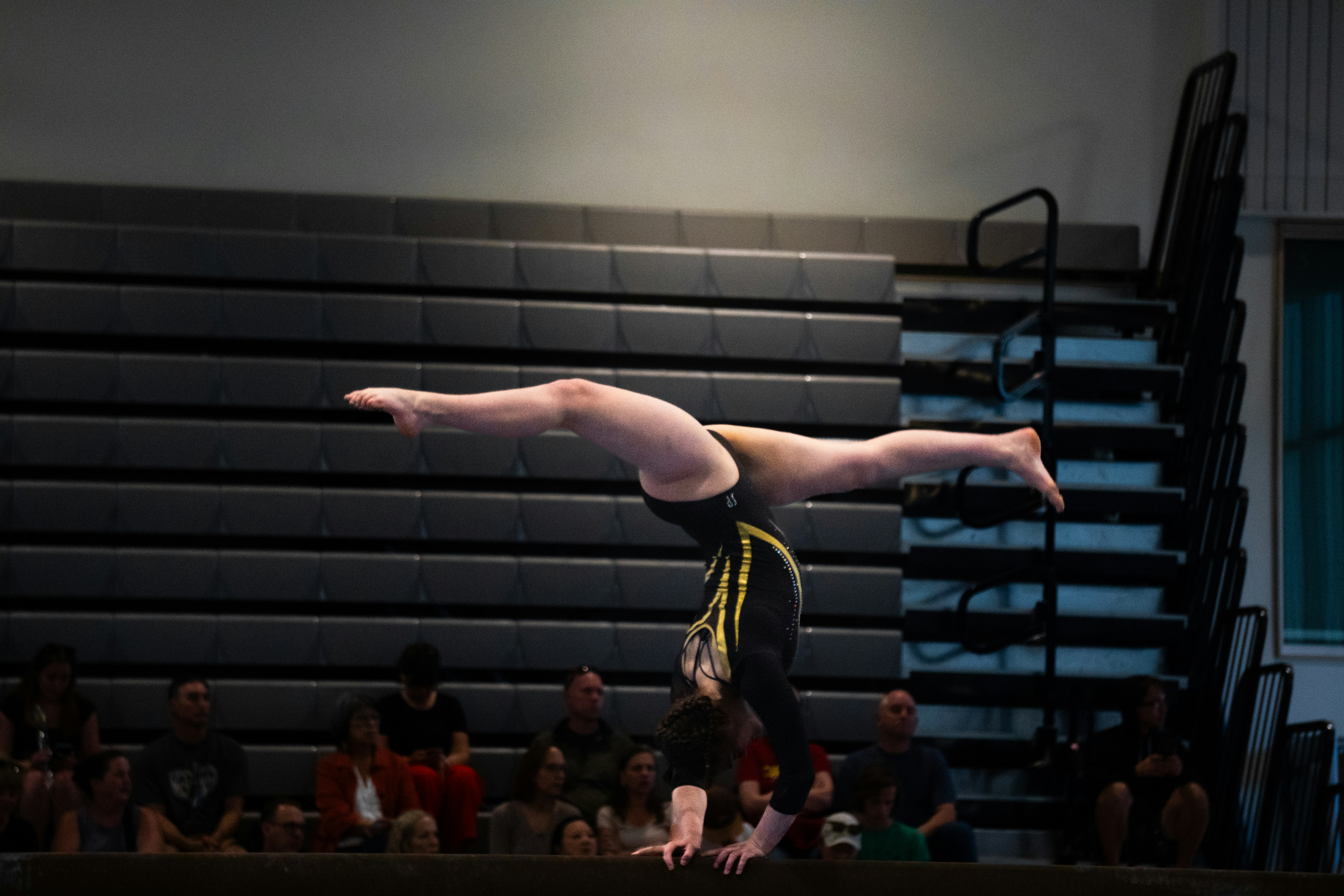 X Games Collectibles: The Rise of Freestyle Sports Memorabilia