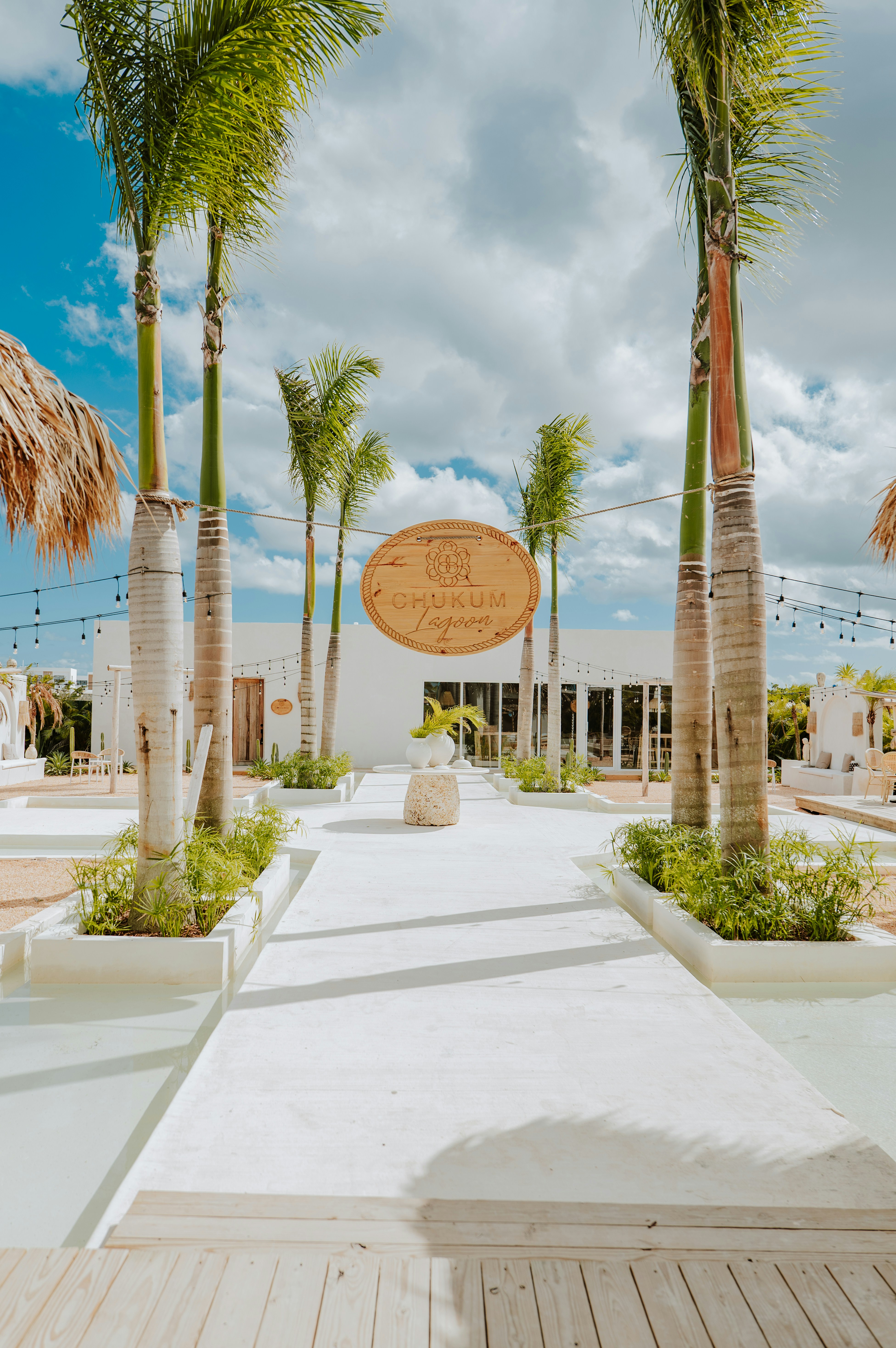 A tropical resort with a white pathway and palm trees.