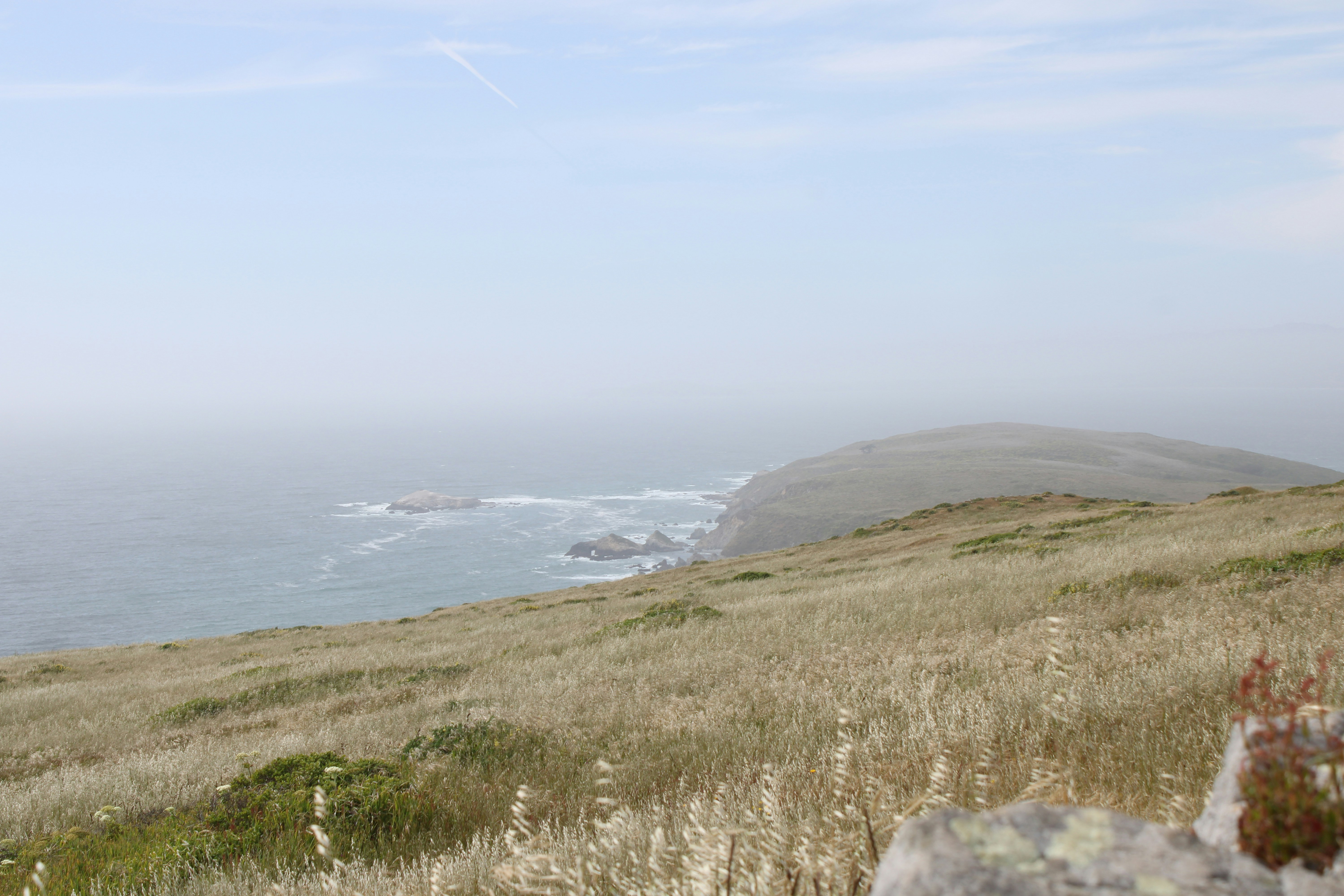 Photo by seymourtseng