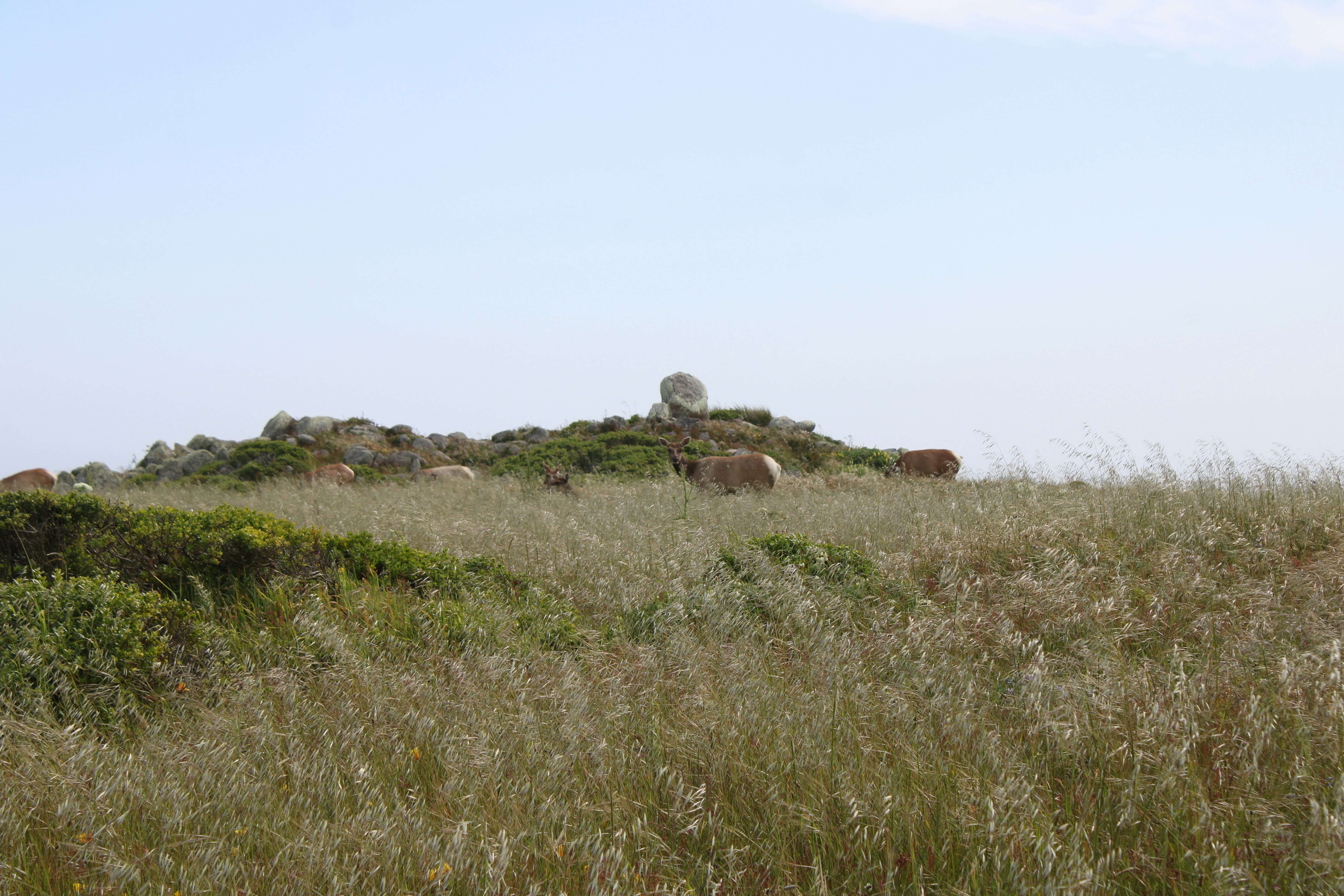 Photo by seymourtseng