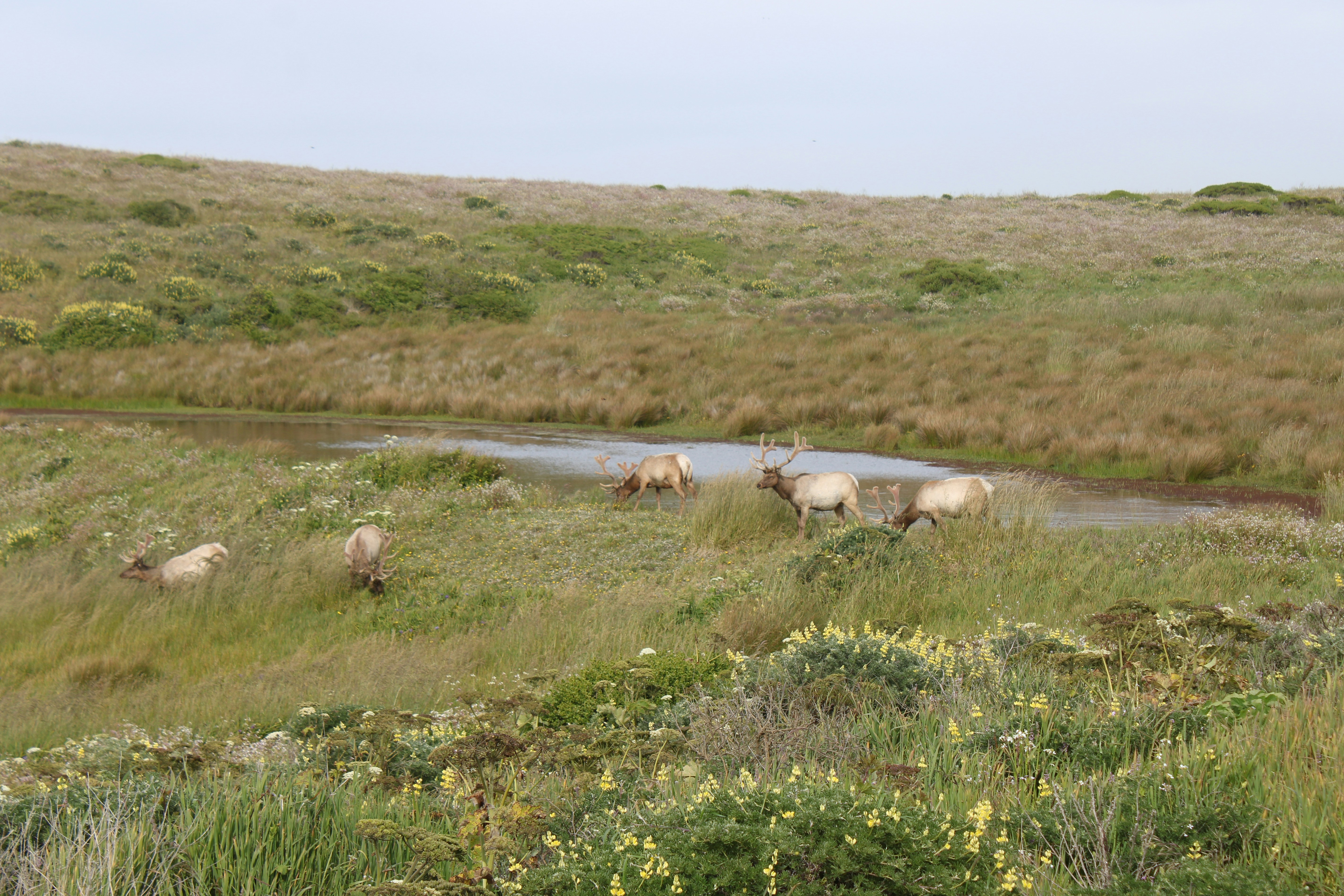 Photo by seymourtseng