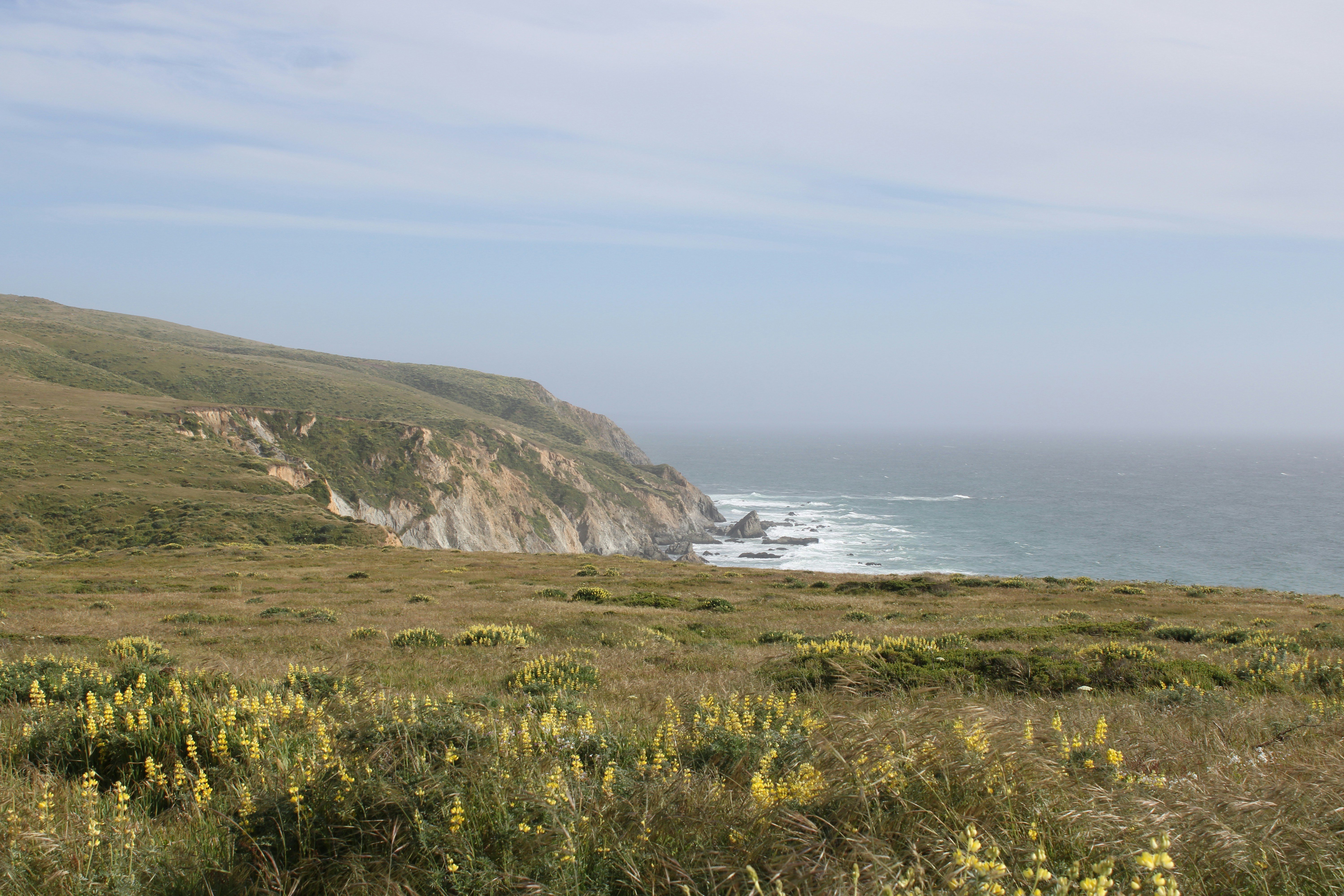 Photo by seymourtseng