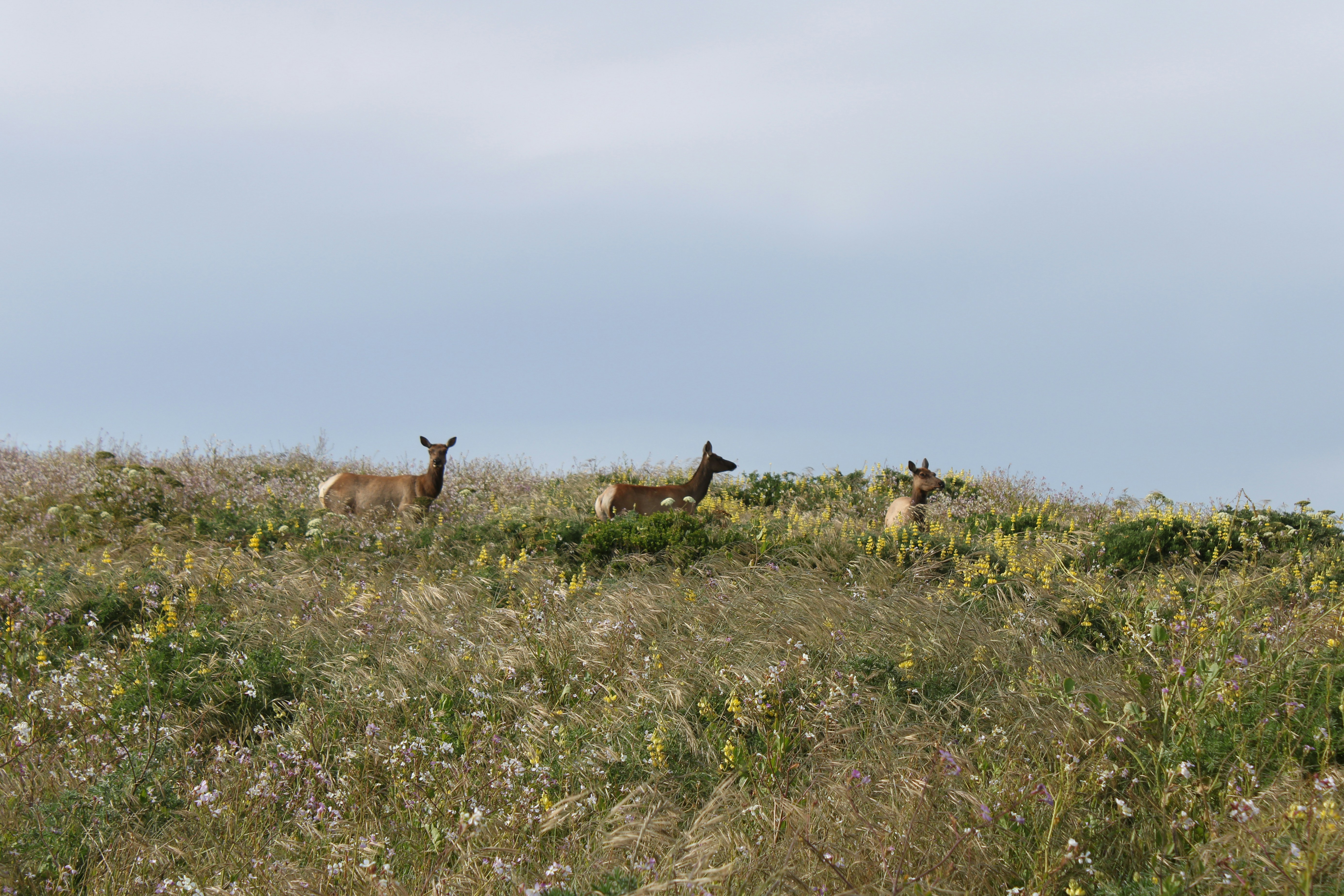 Photo by seymourtseng