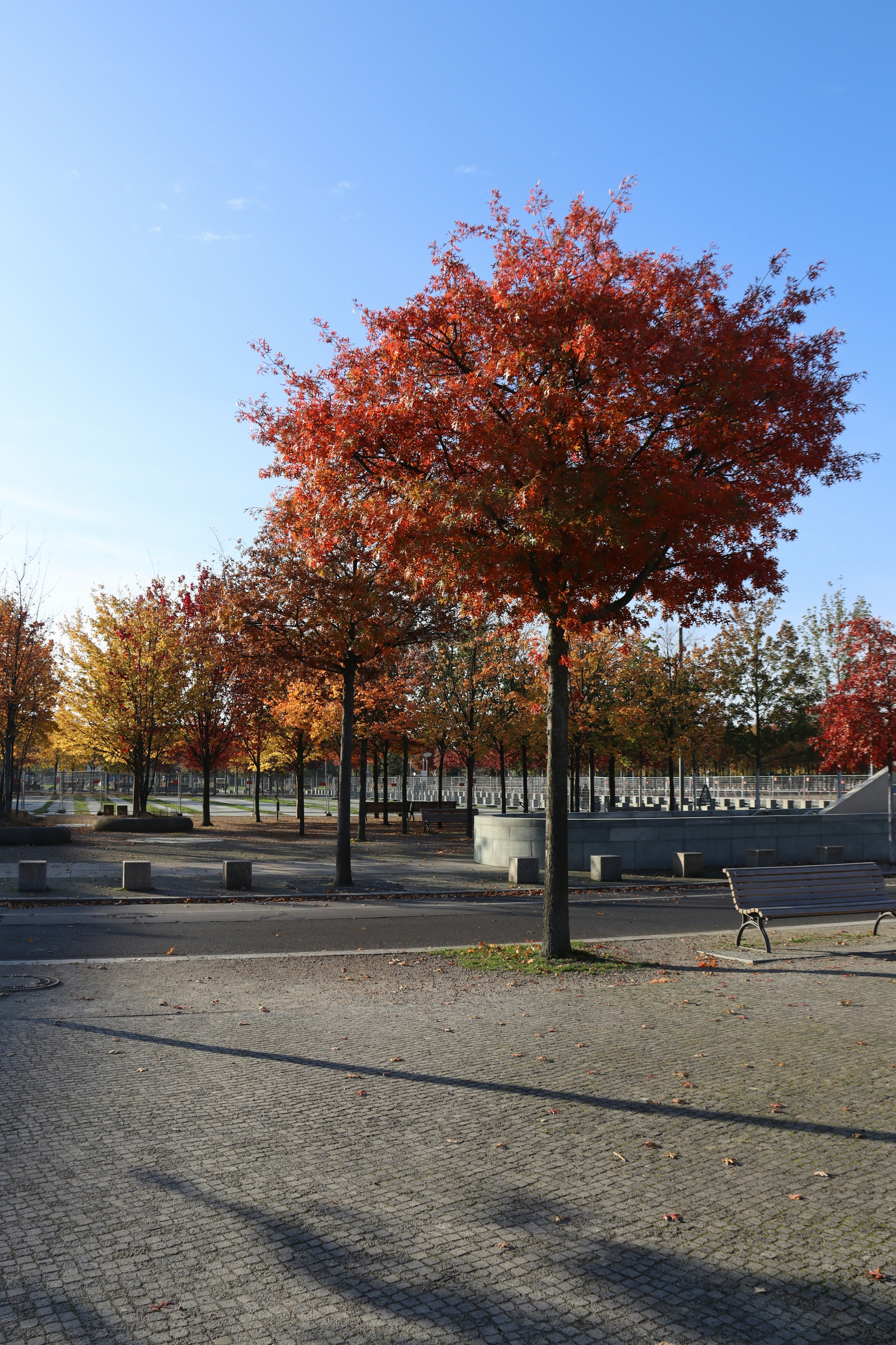 Photo by shalevcohen