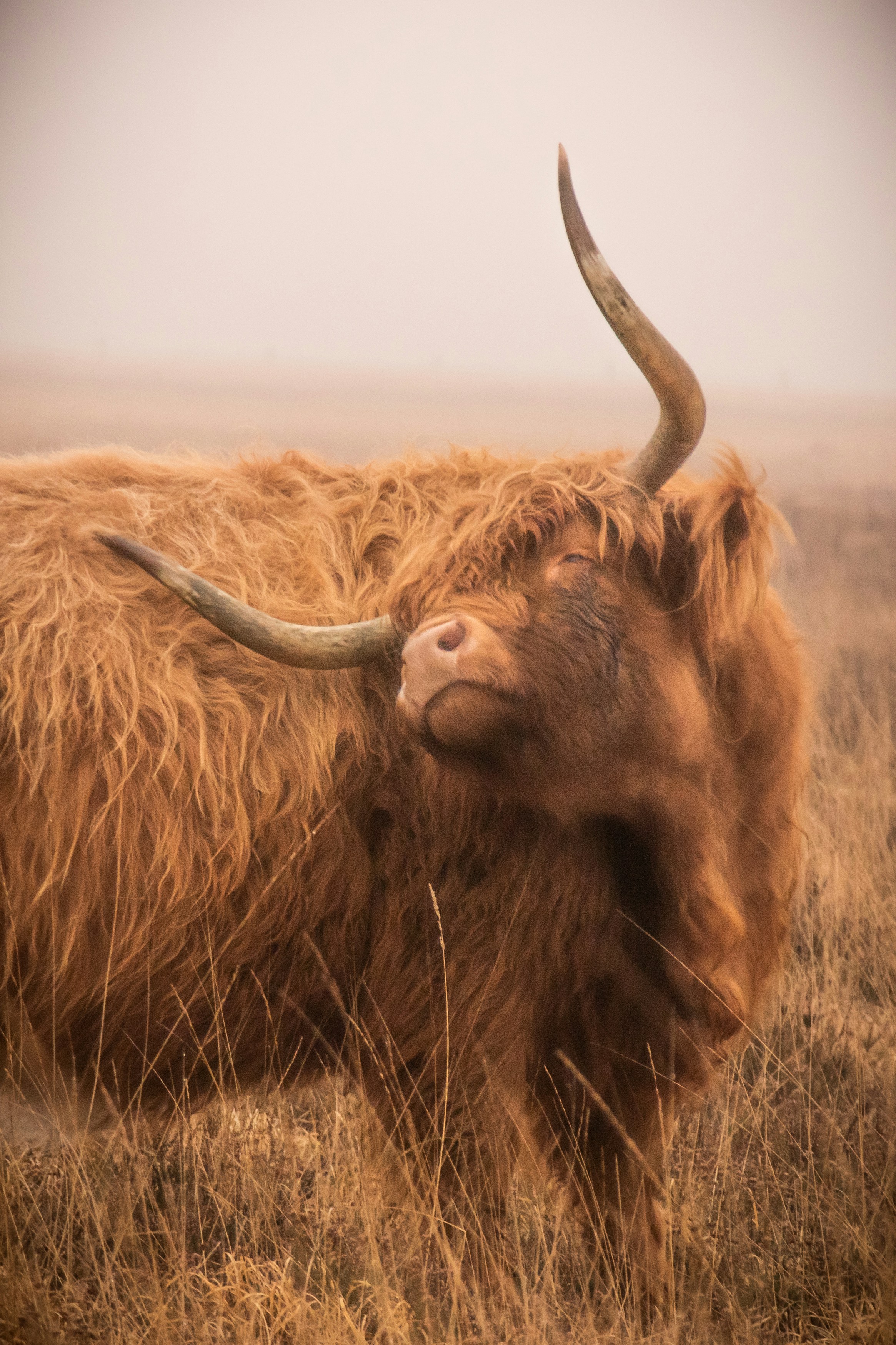 Photo by user_pascal