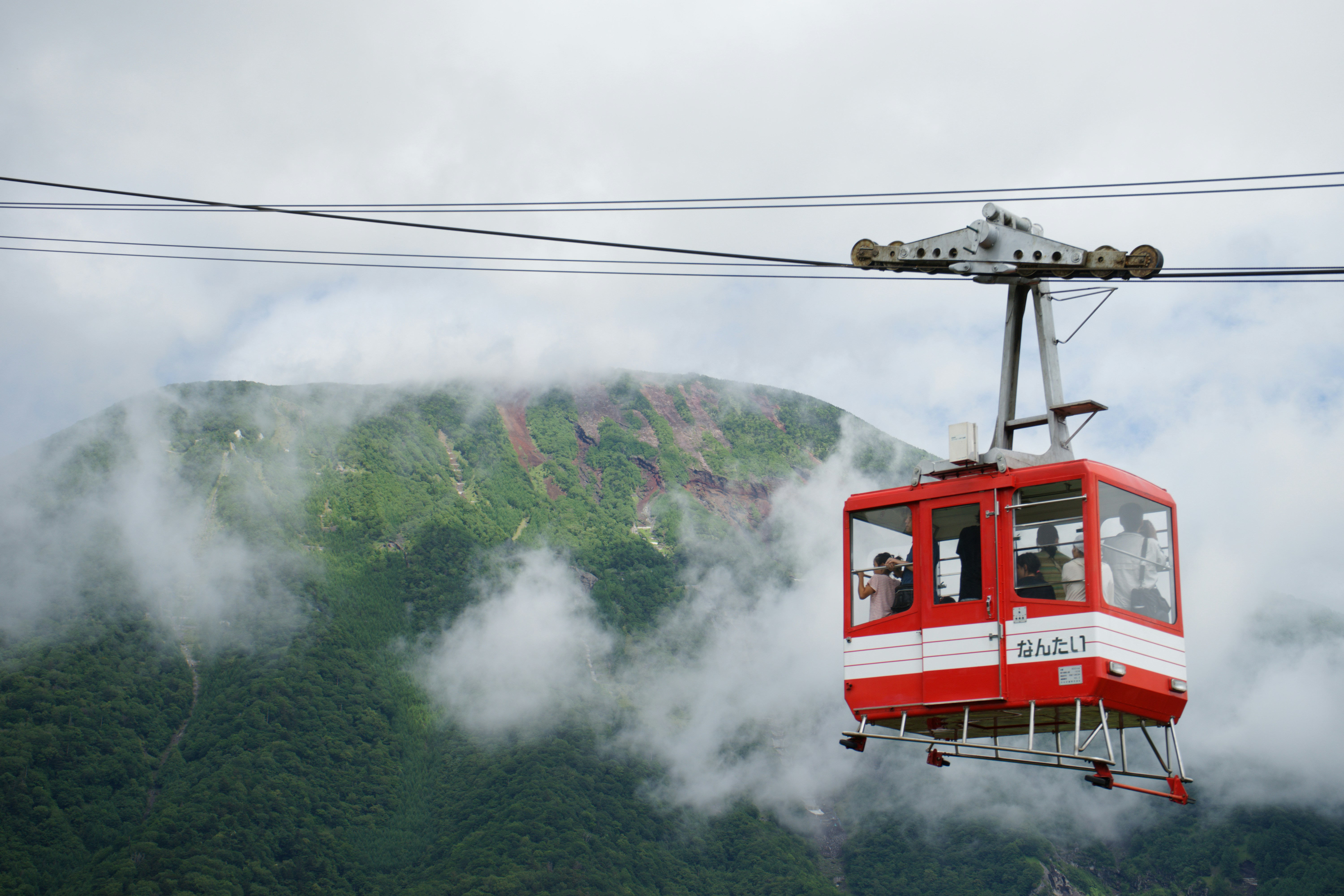 Photo by da_shika_photo