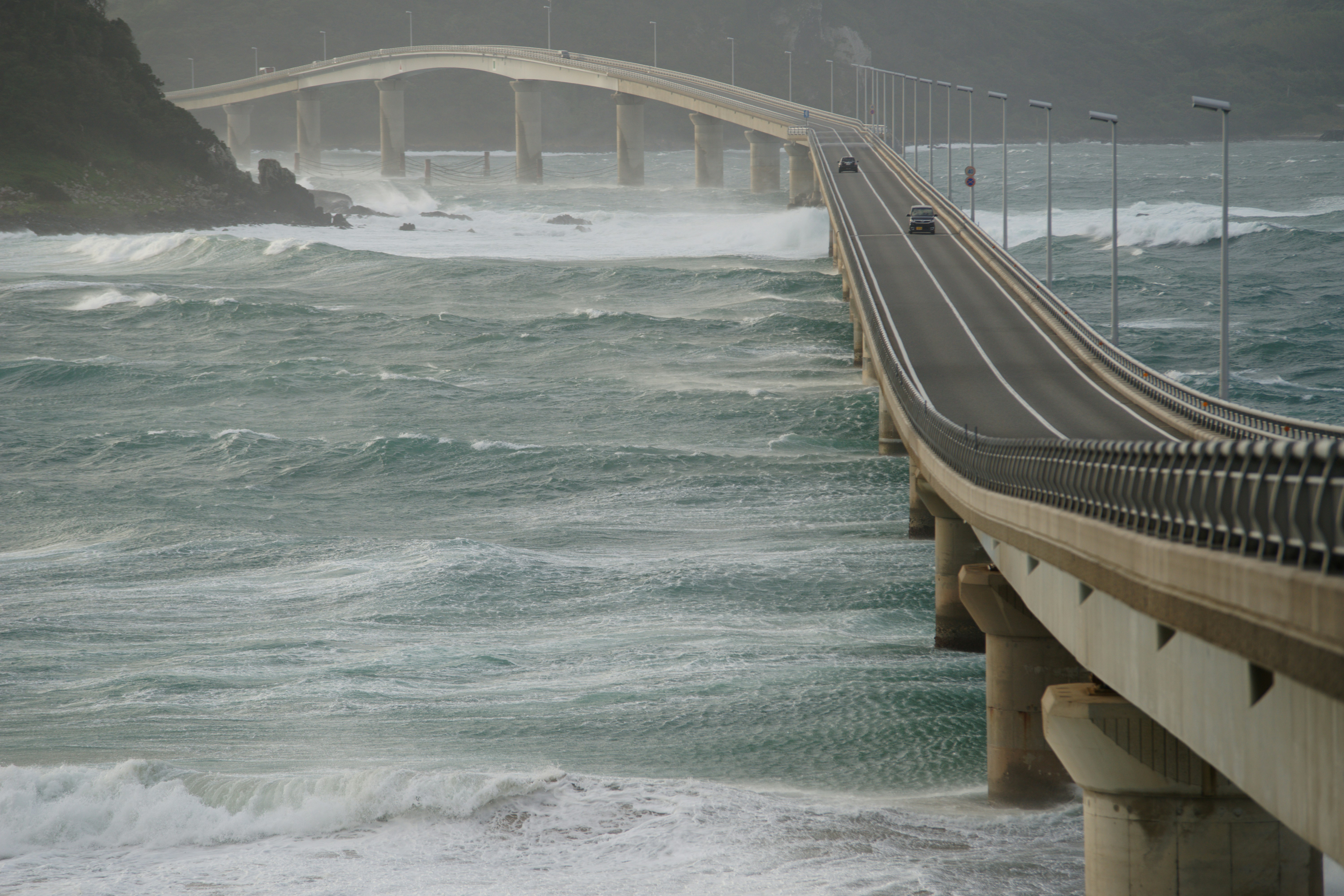 Photo by da_shika_photo