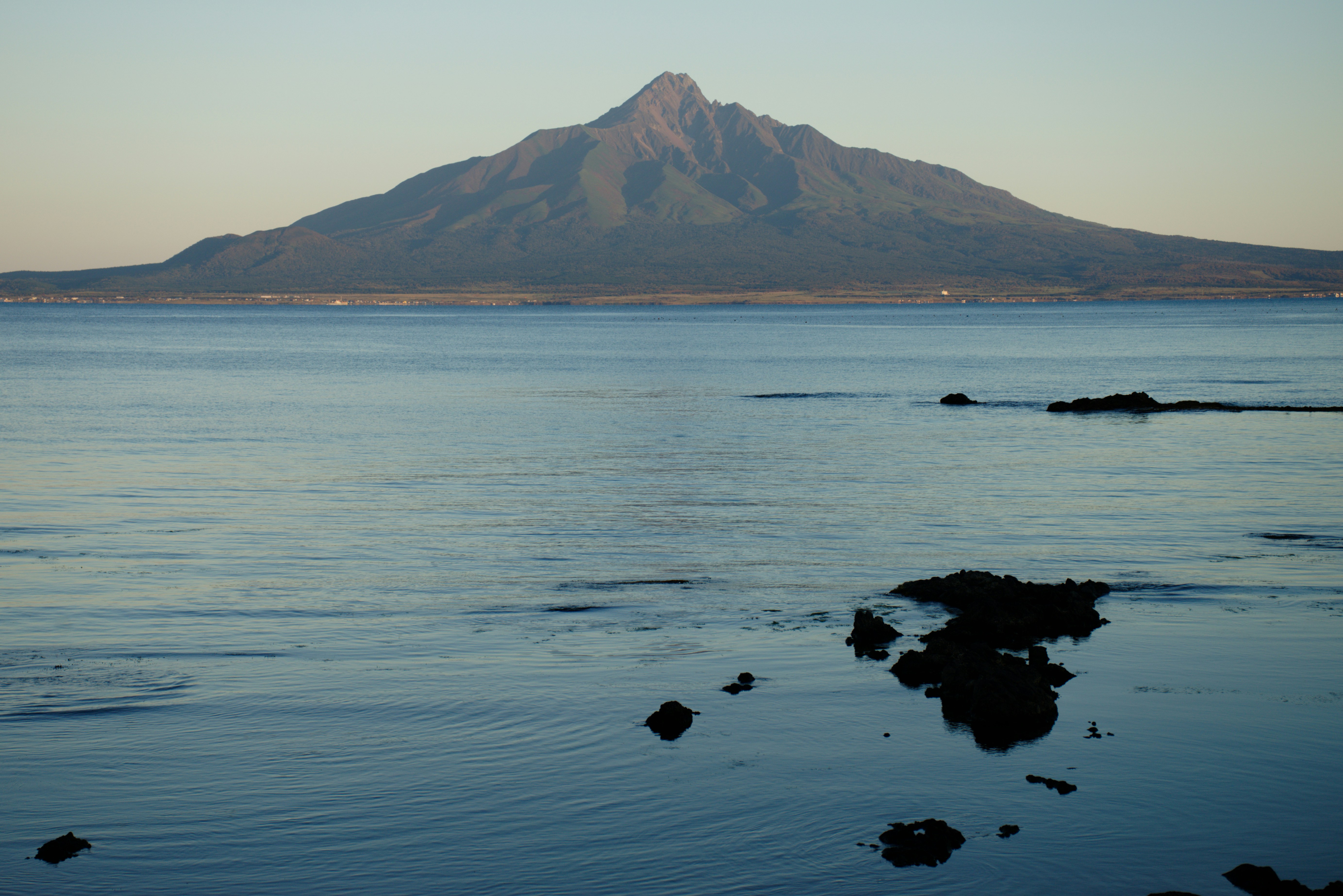 Photo by da_shika_photo