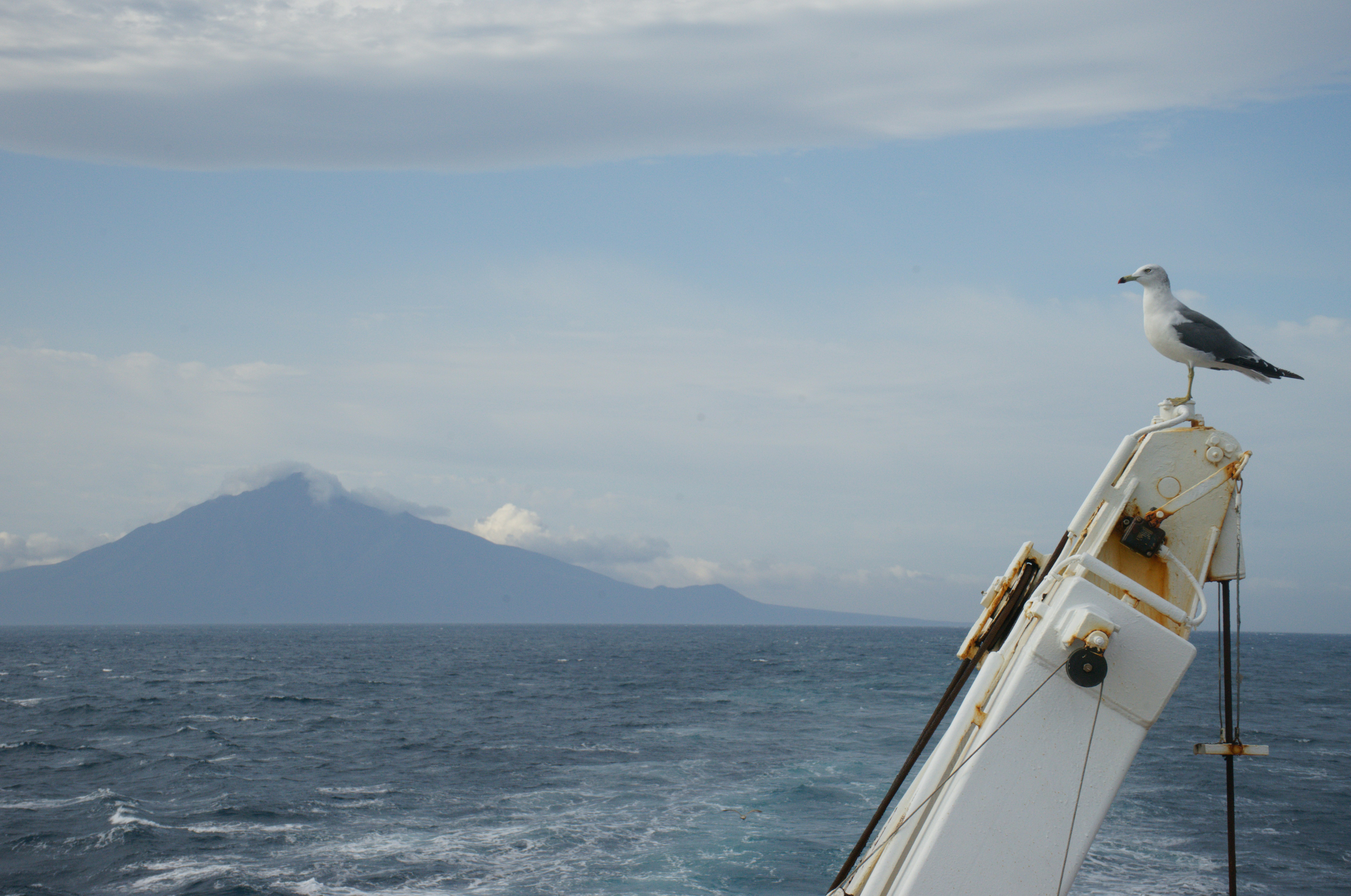 A seagull perches on a boat with a mountain view.