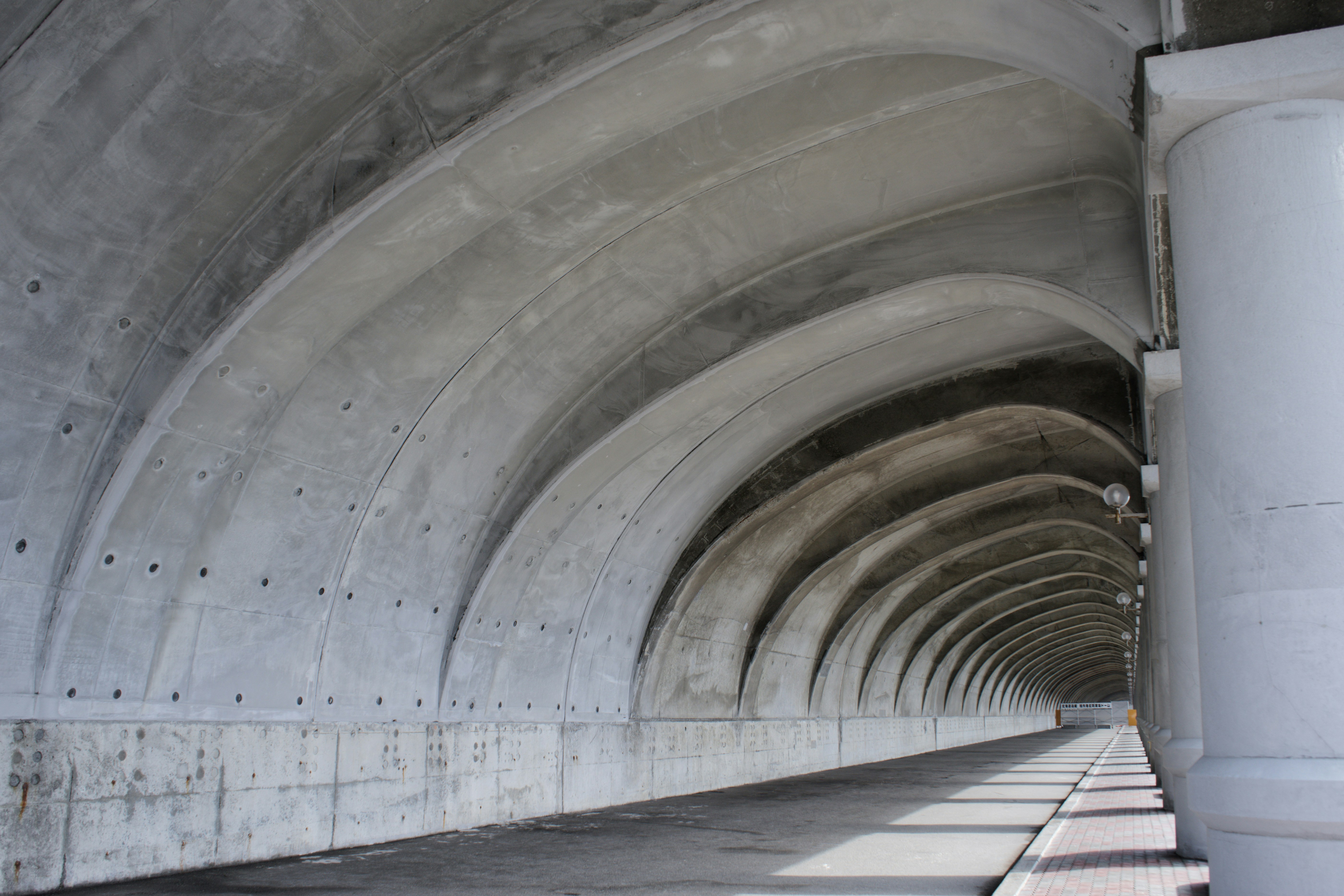 Photo by da_shika_photo