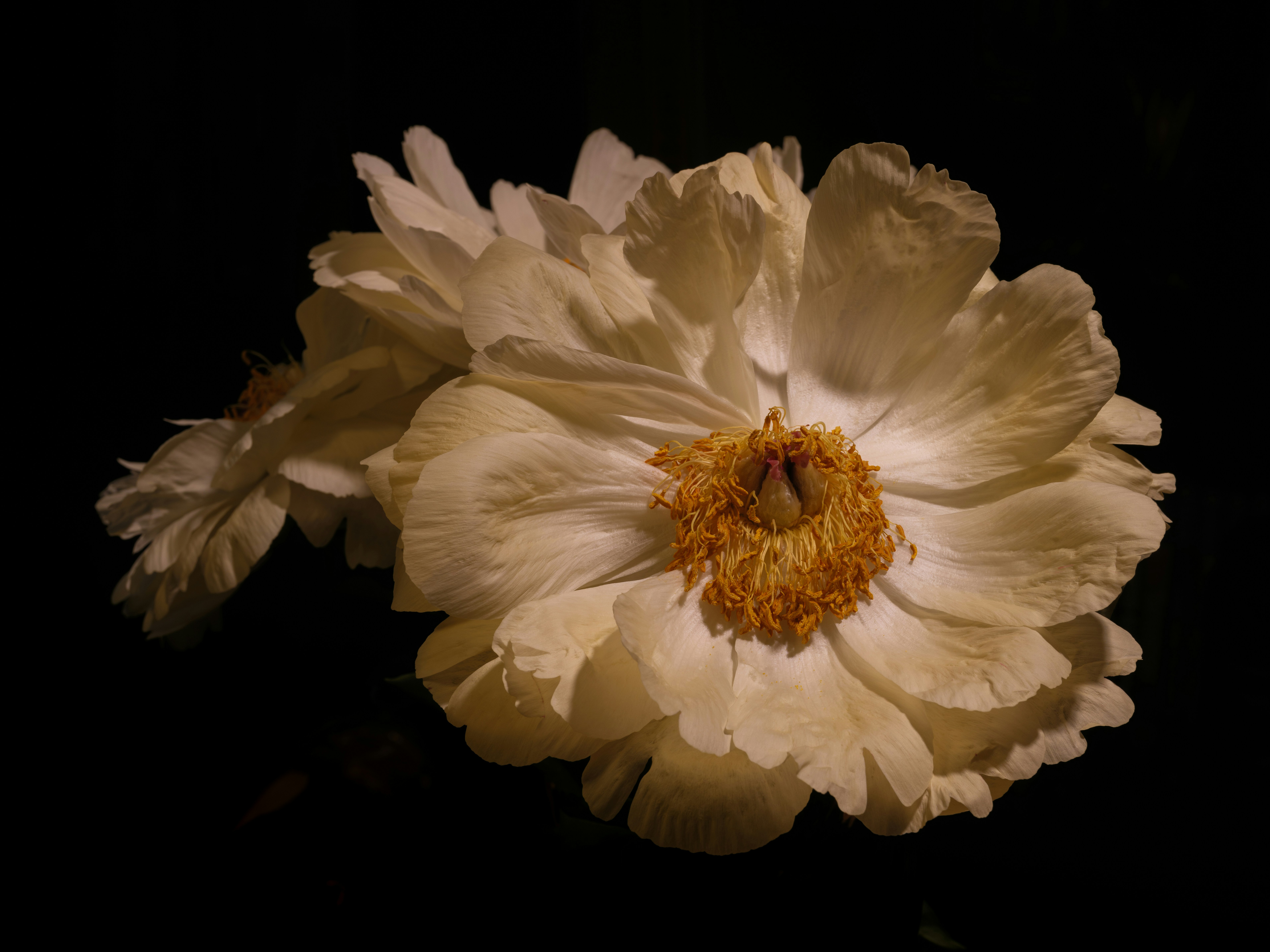 Photo by haberdoedas