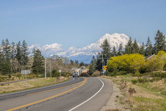 A winding road leads to snowy mountains.