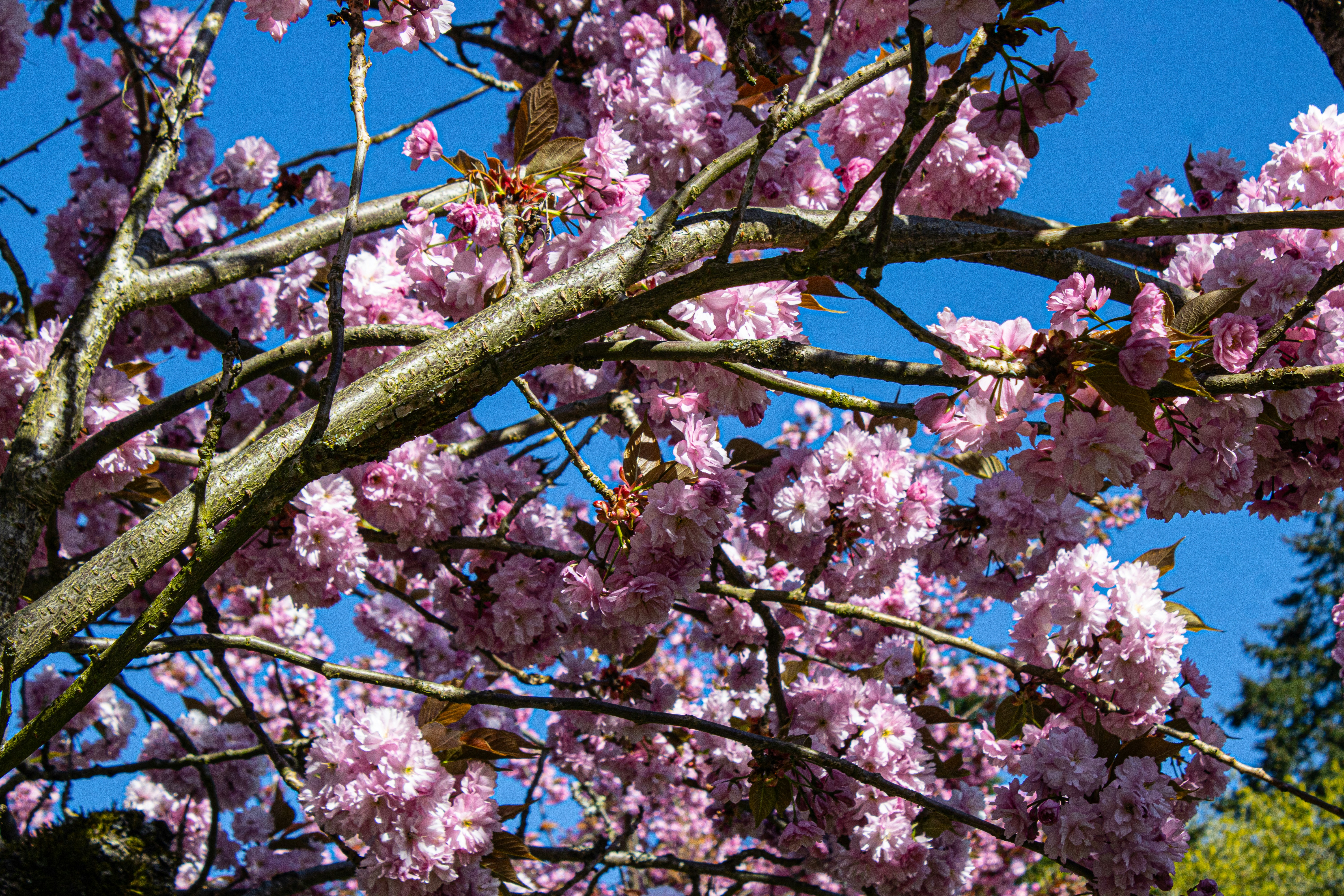 Photo by prphotography262