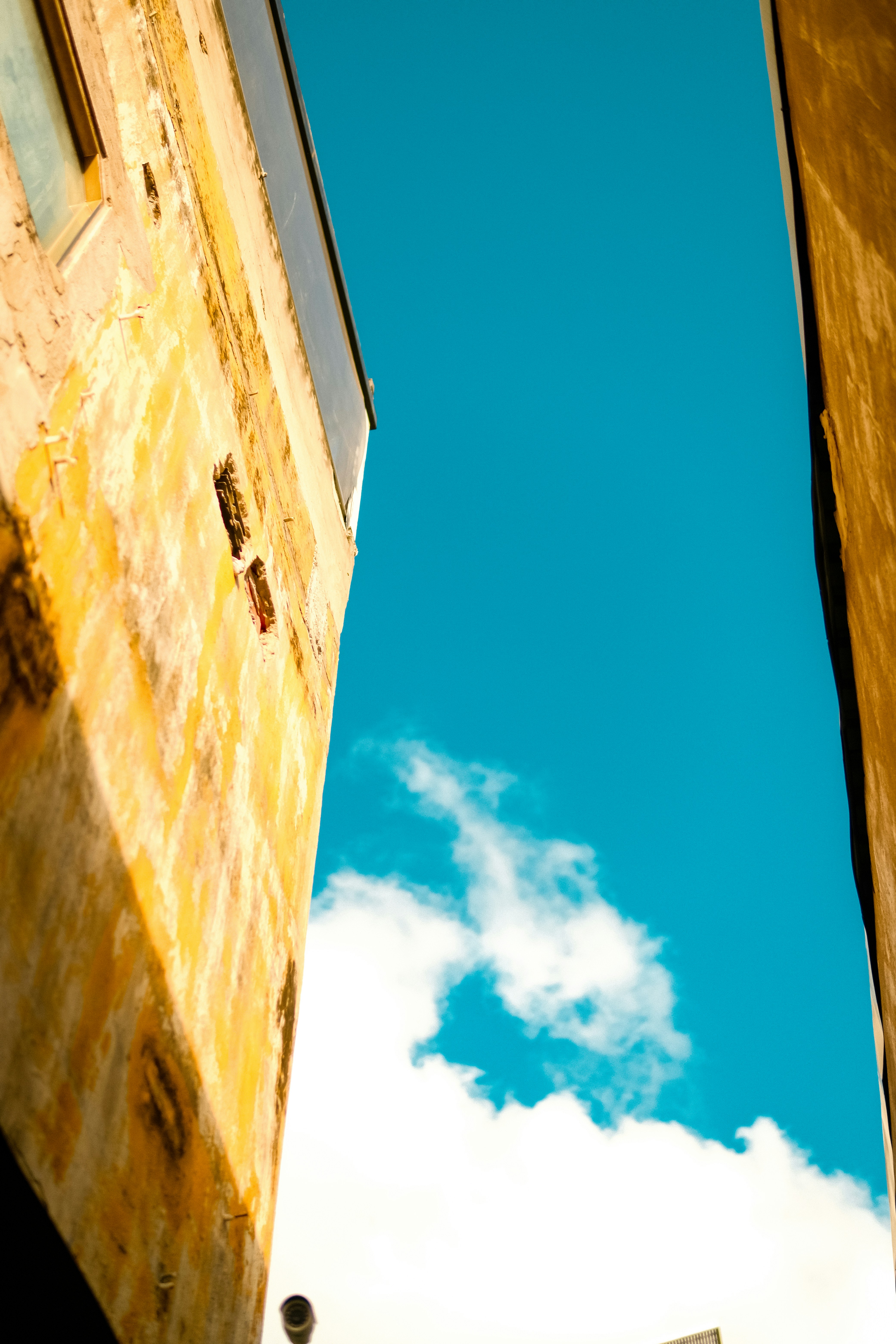 Photo by truogdieu29