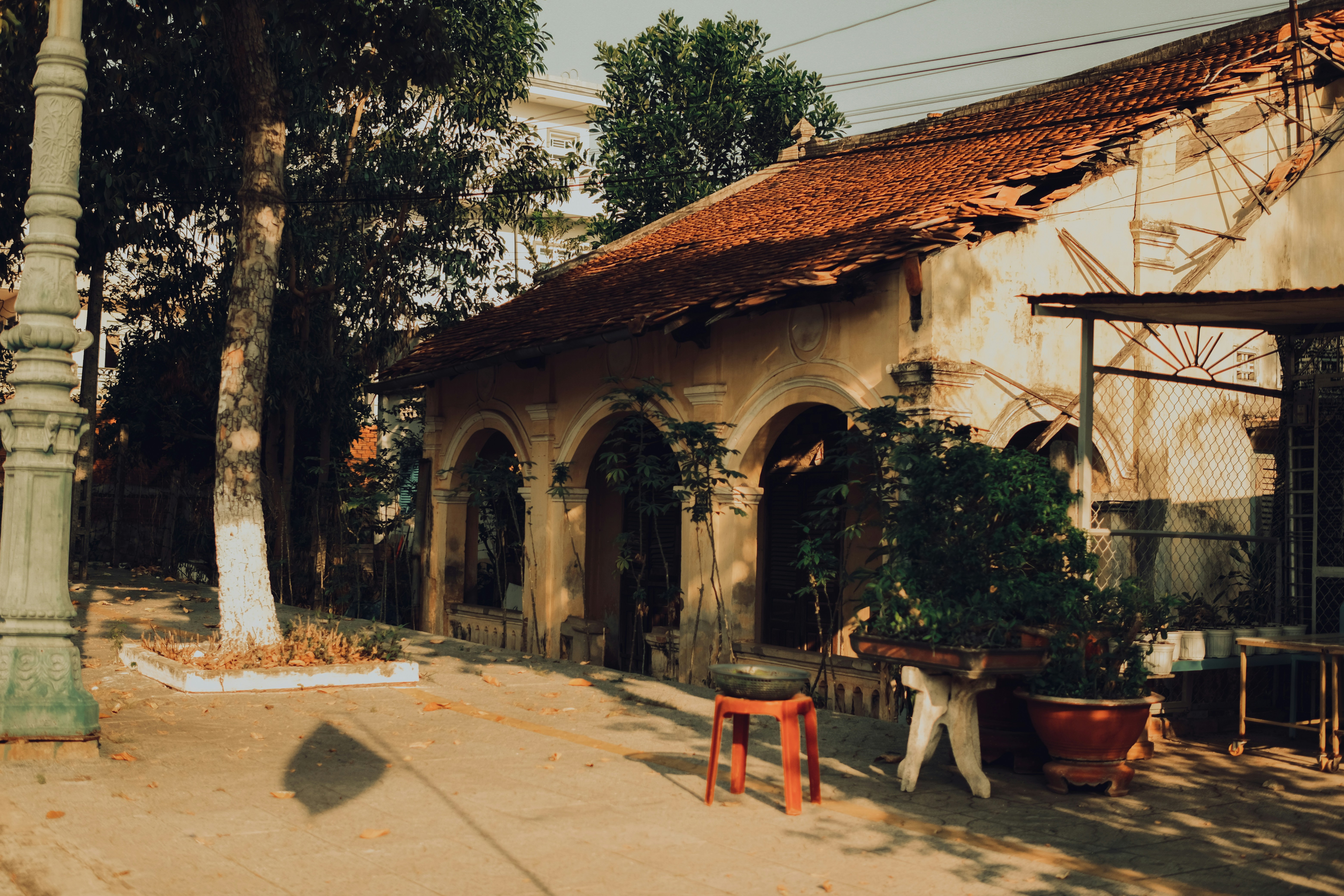 Photo by truogdieu29