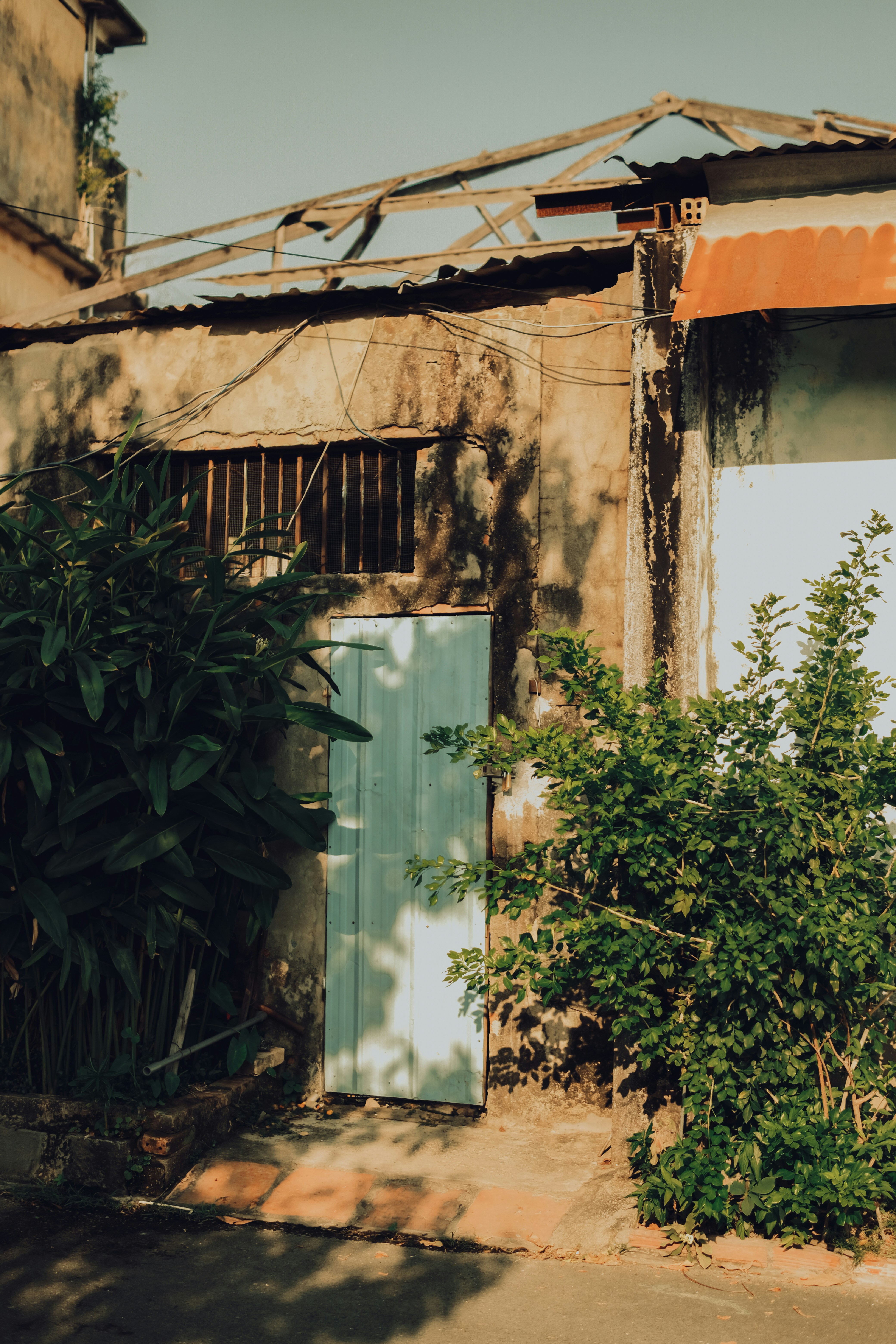 Photo by truogdieu29