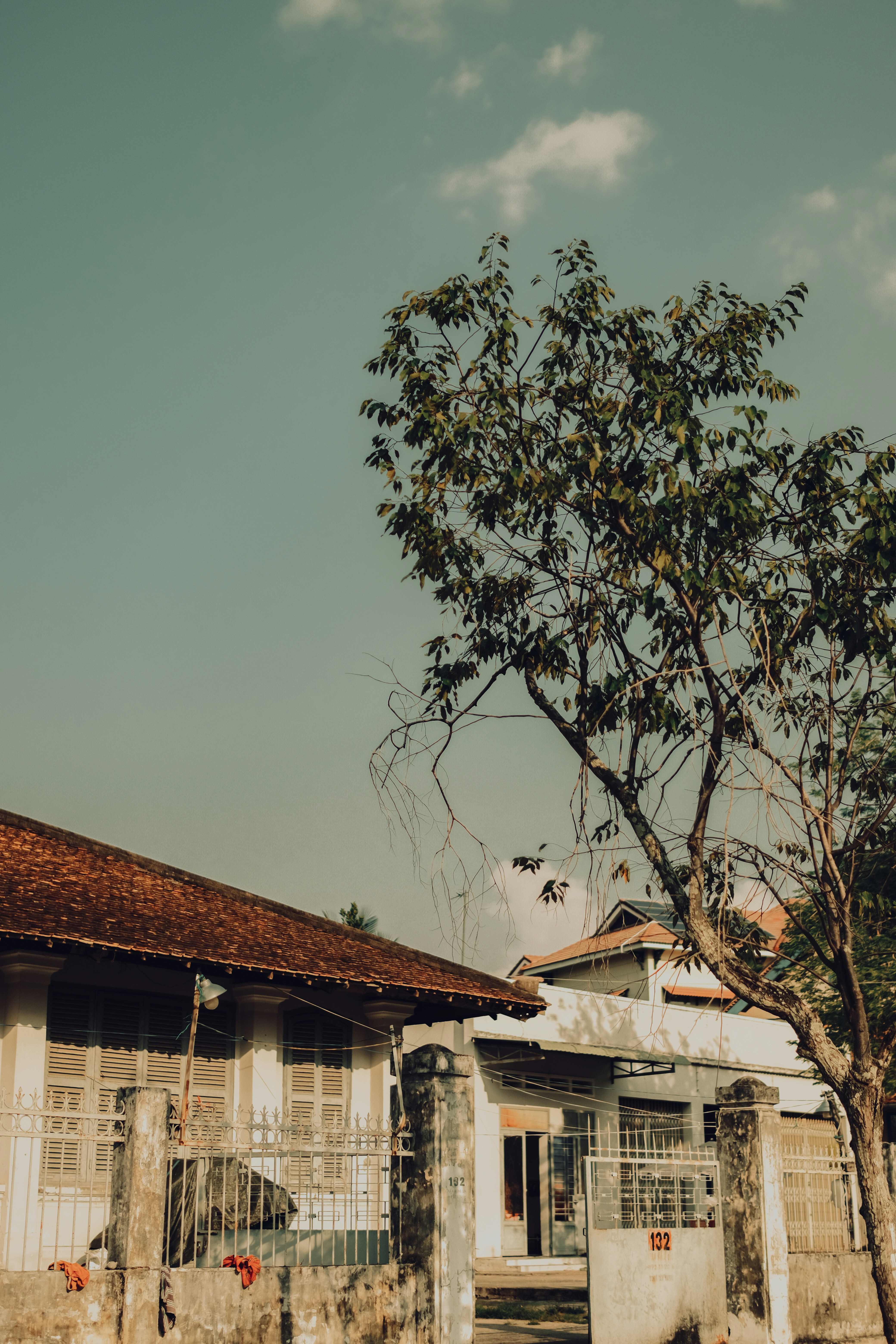 Photo by truogdieu29