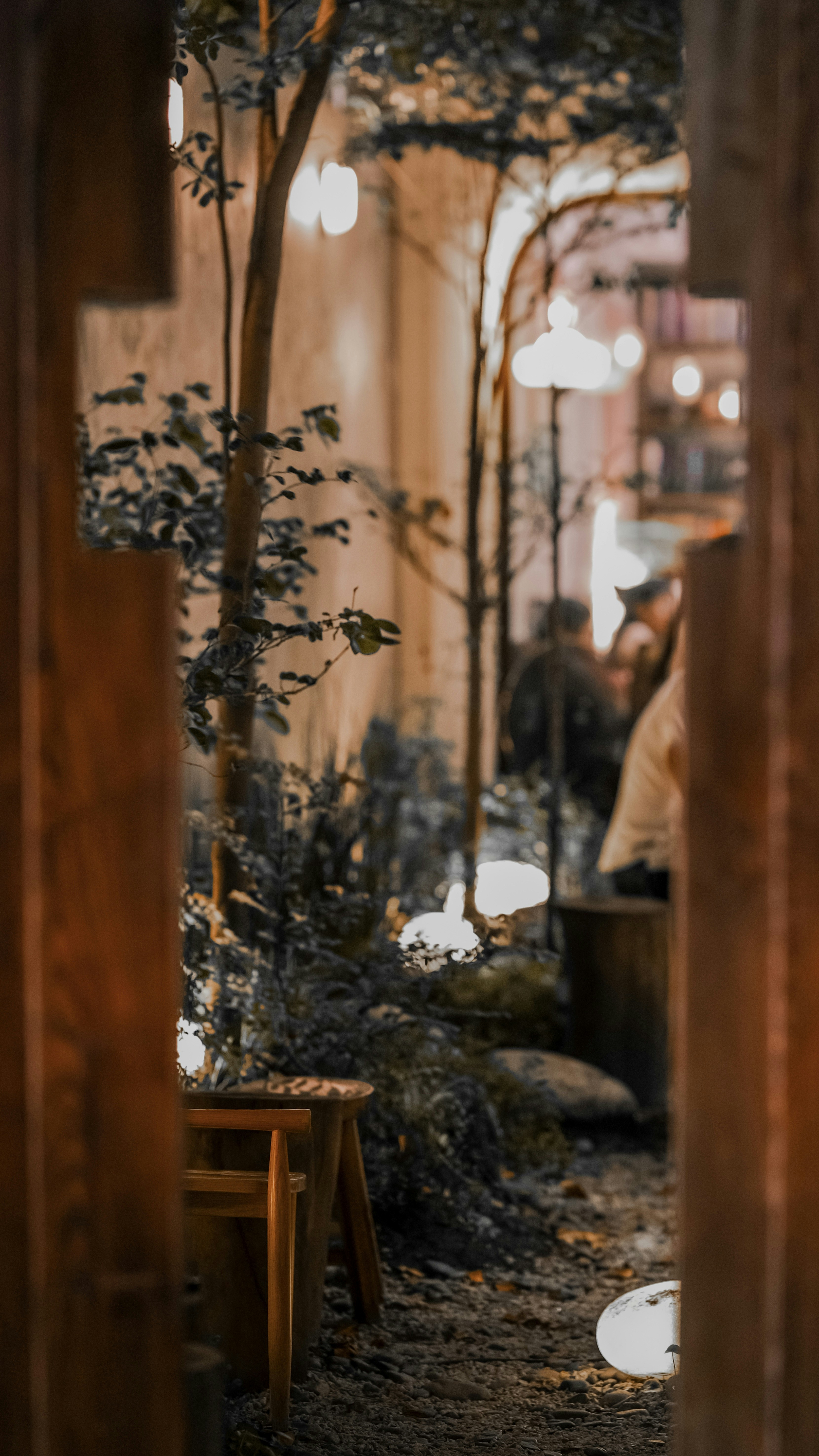 Photo by truogdieu29