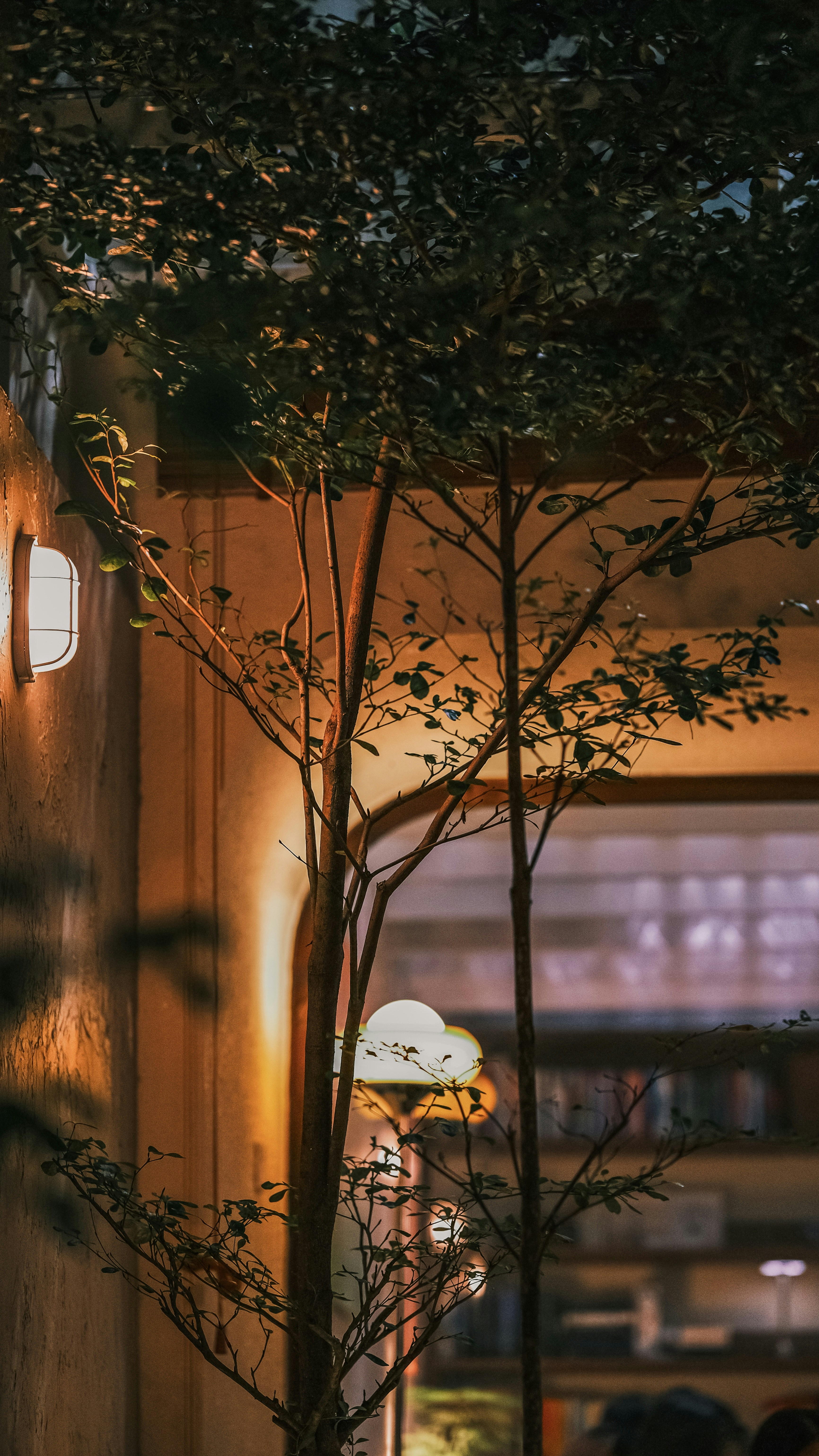 Photo by truogdieu29