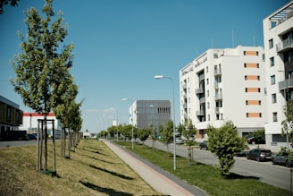 Modern buildings line a sunny street with trees.