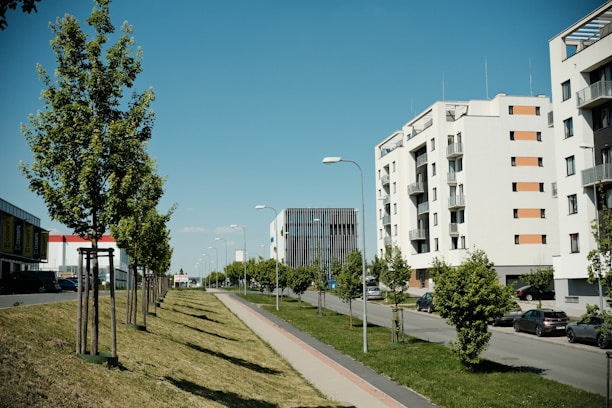 Modern buildings line a sunny street with trees.