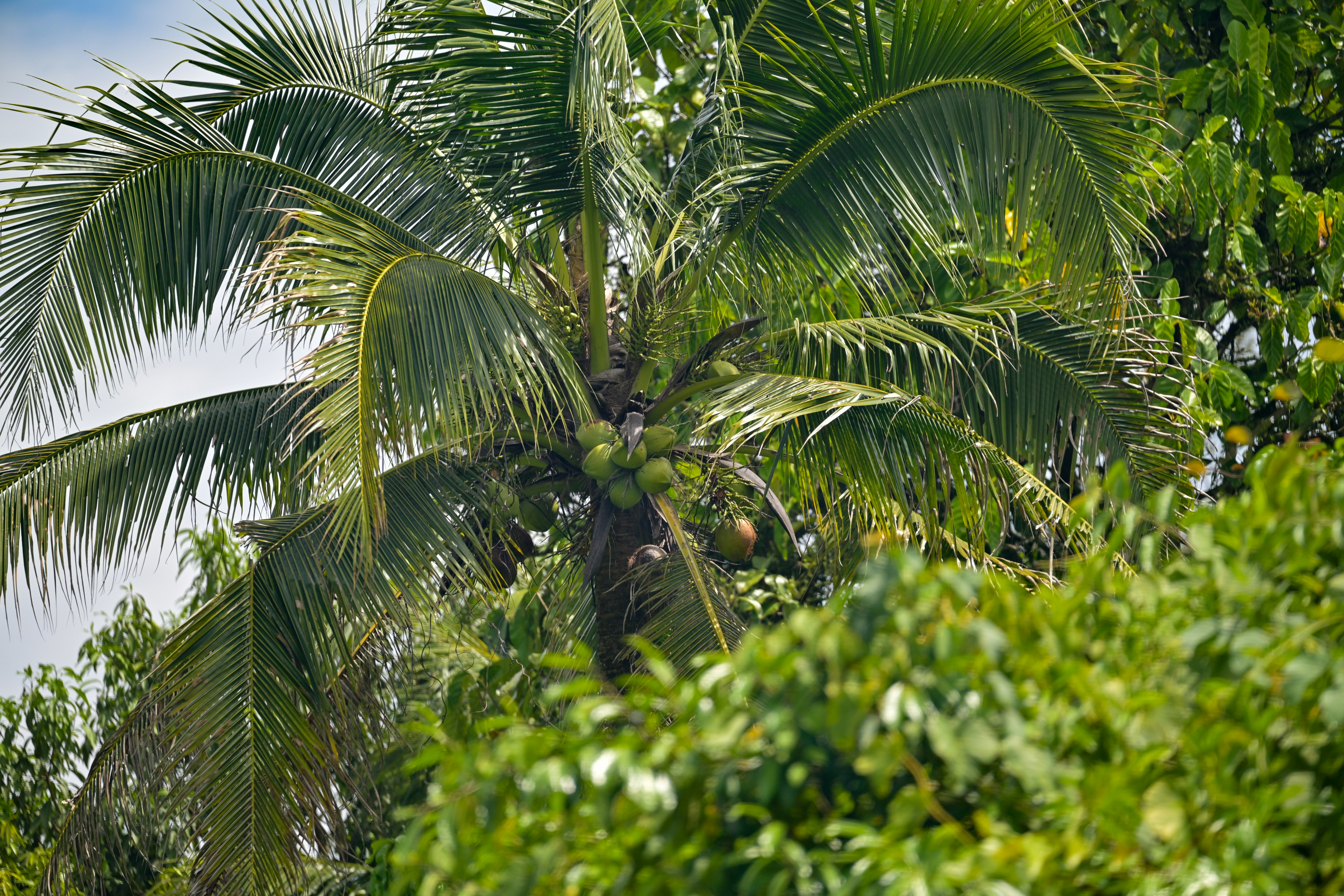 Photo by jonathankslim