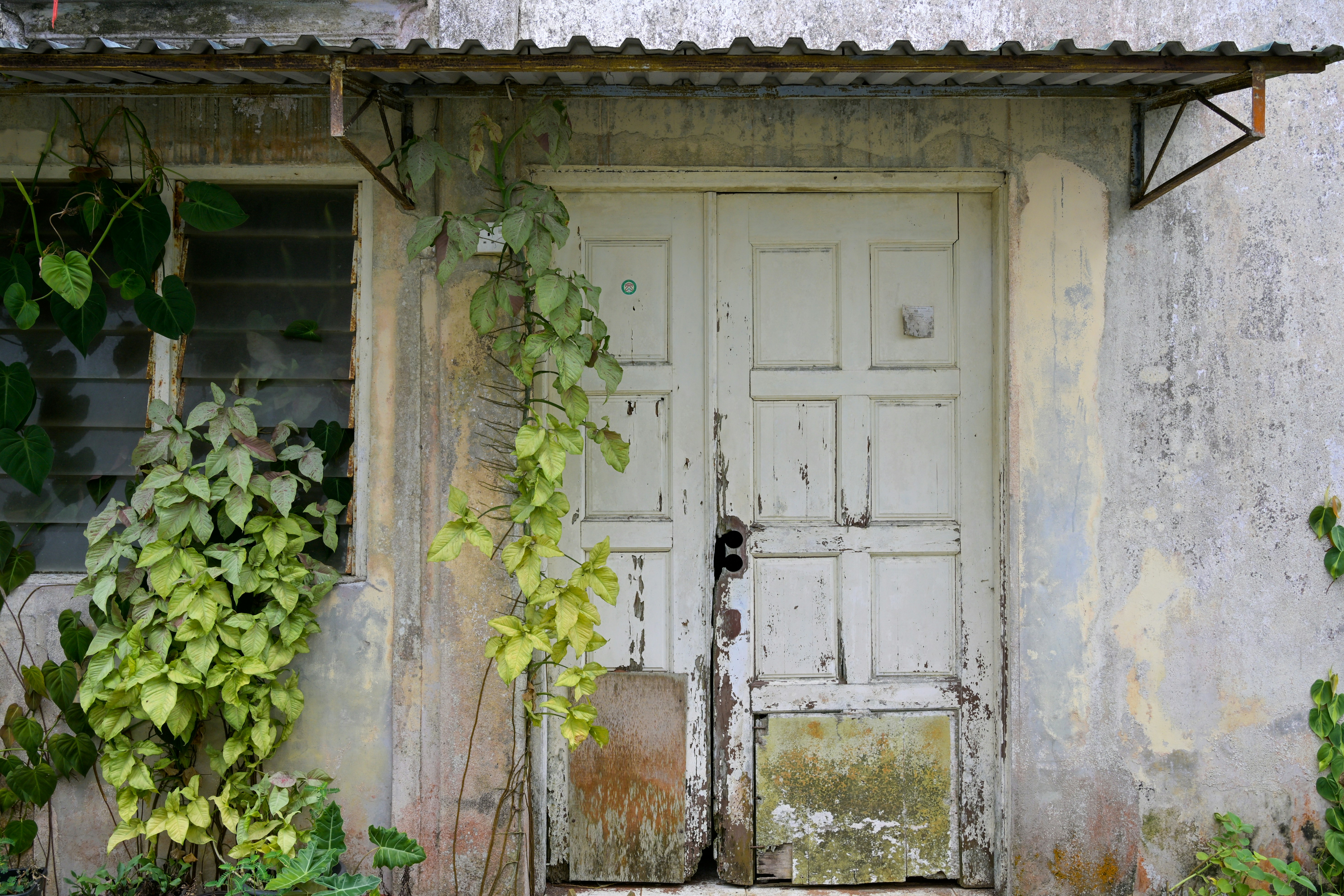 Photo by jonathankslim