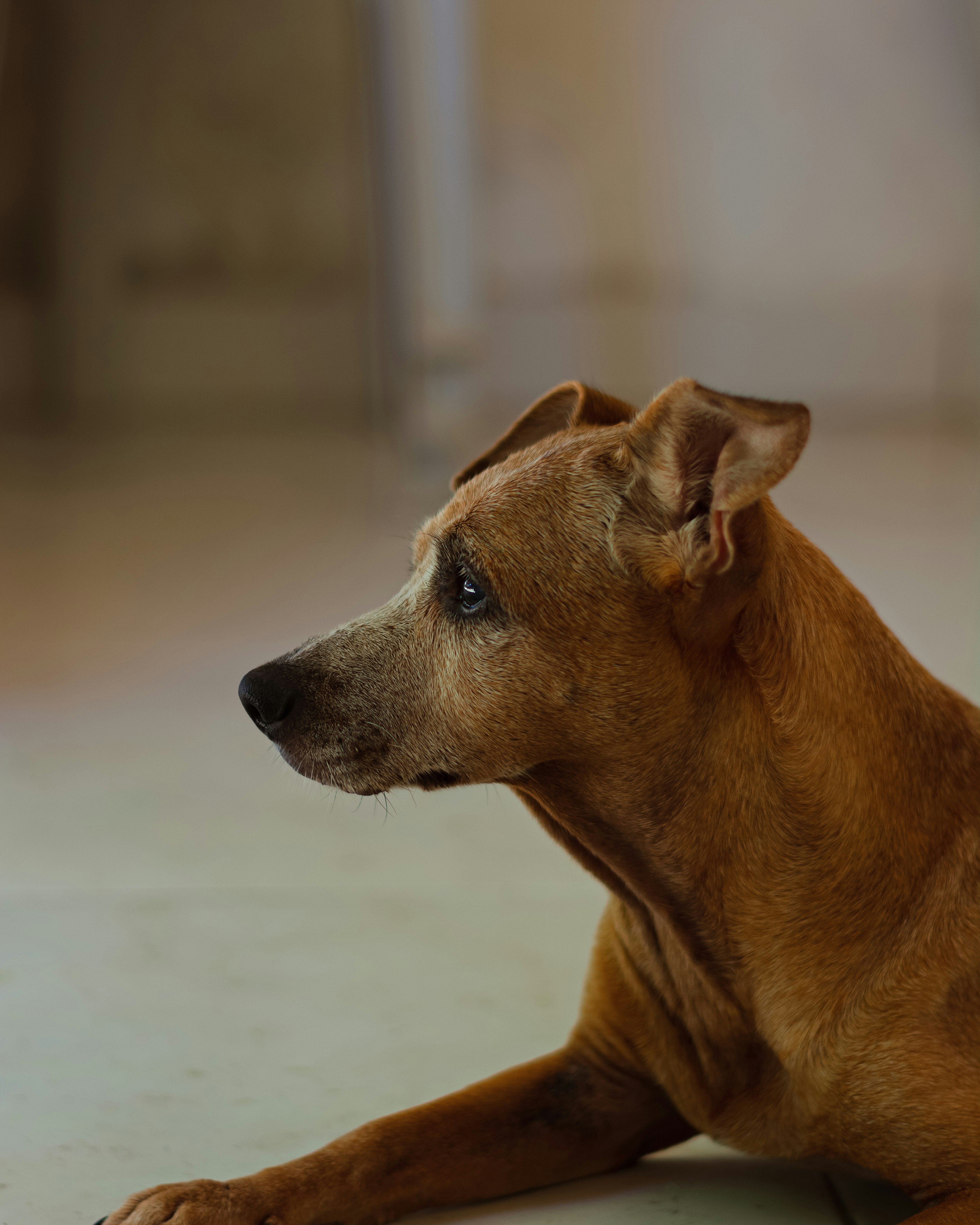 Photo by raffaalvess