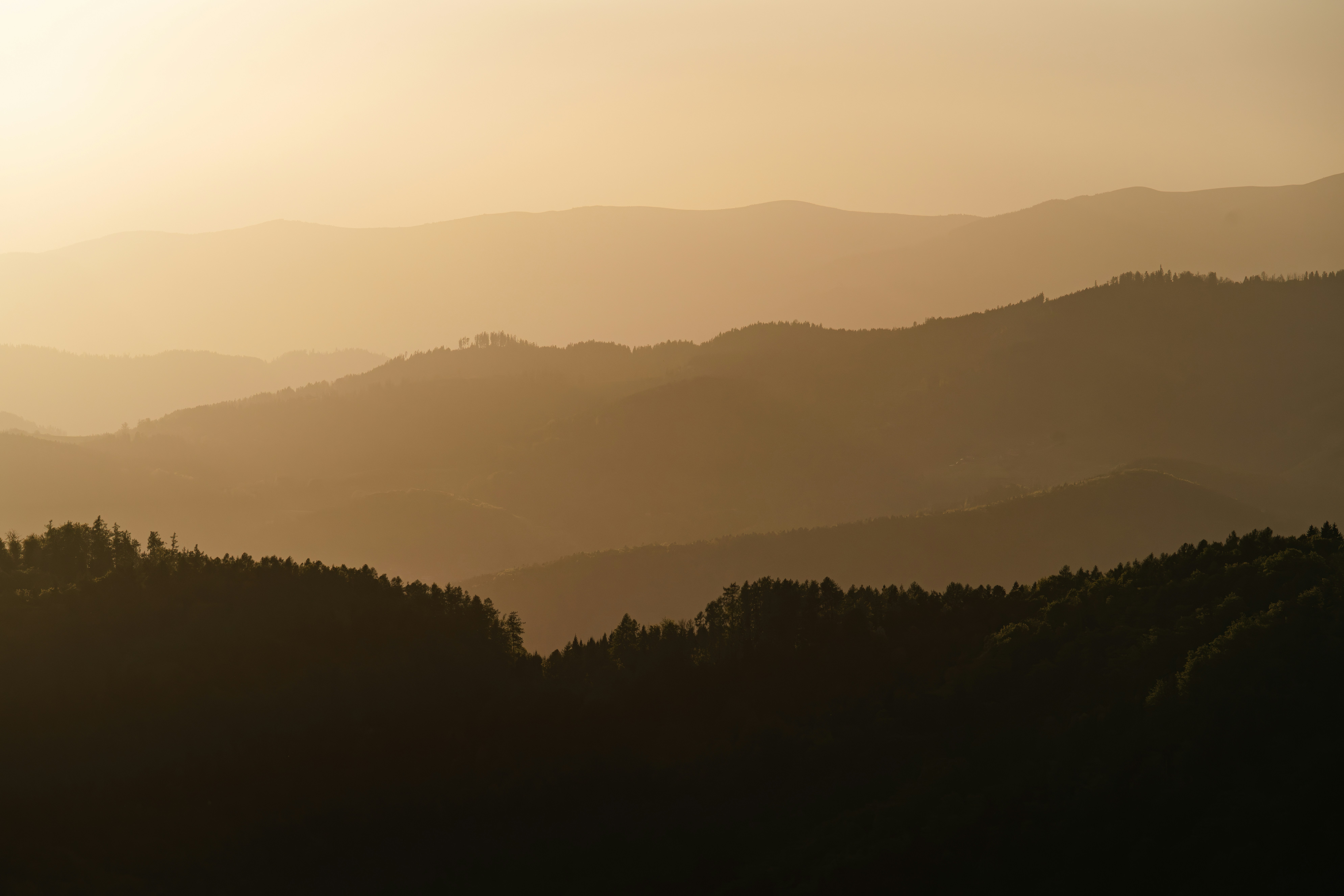 Photo by ahmetyuksek