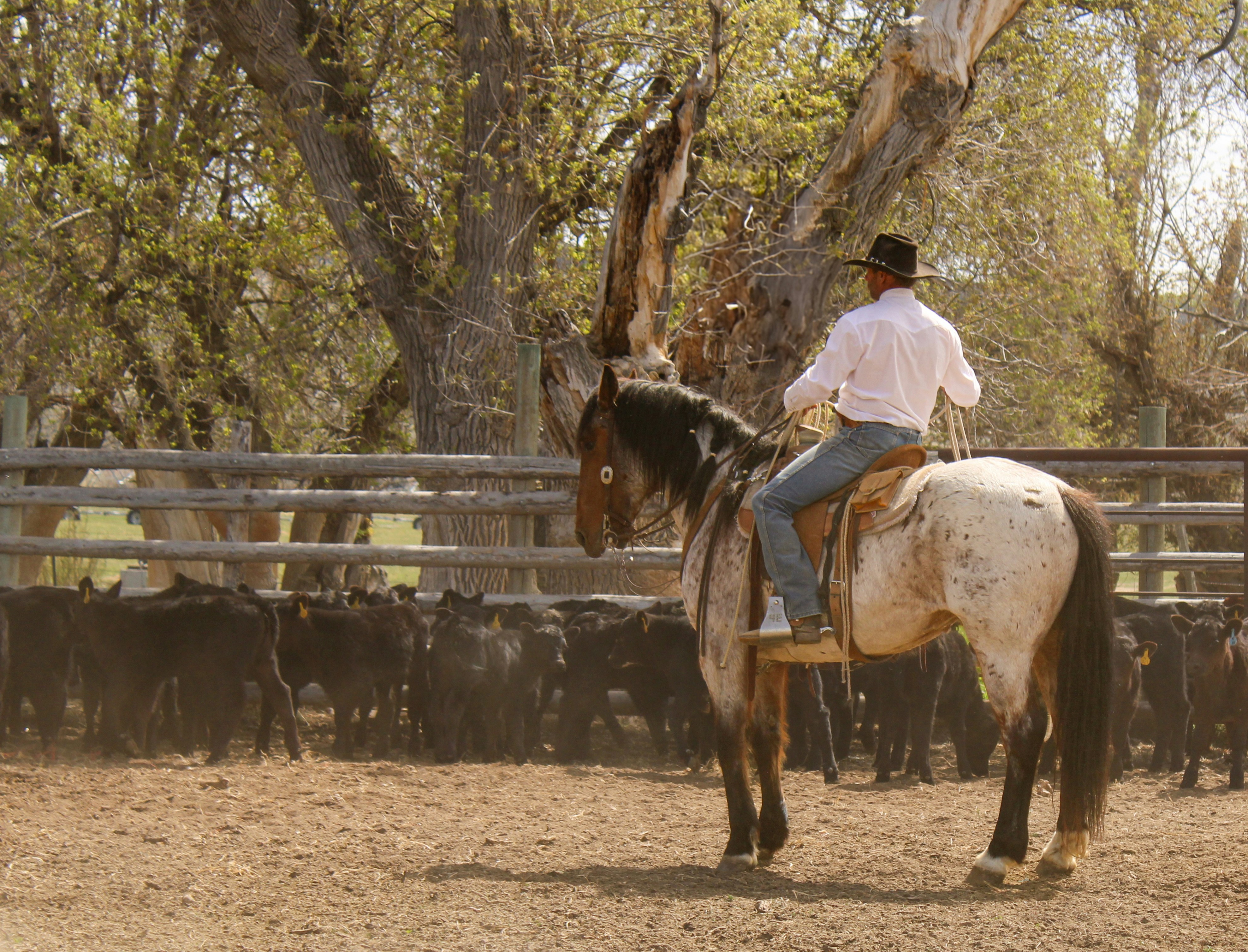 Photo by abby_moulton